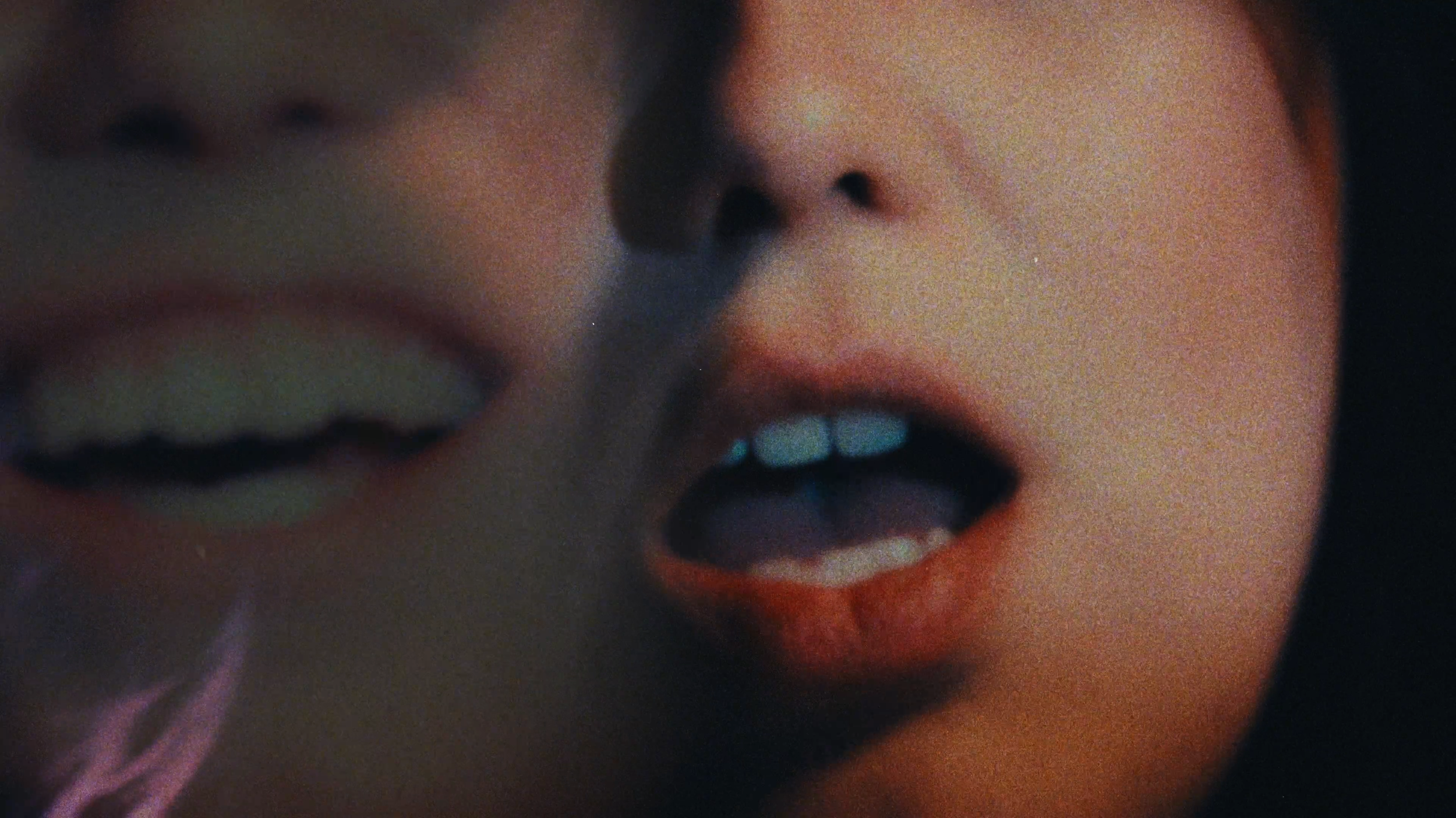 Nightingale Carousel 9.png