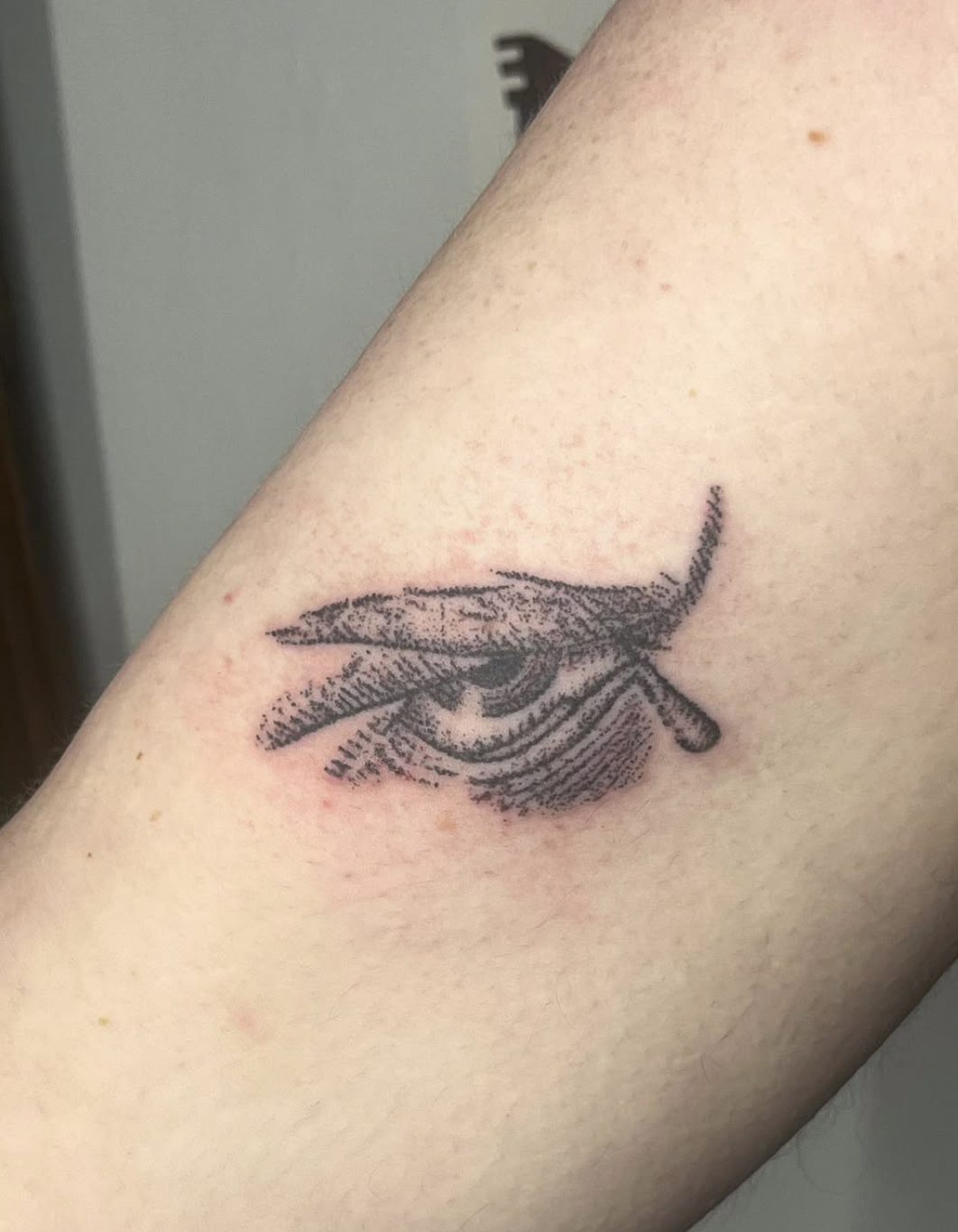 Screenshot 2025-03-04 at 6.39.33 PM.png