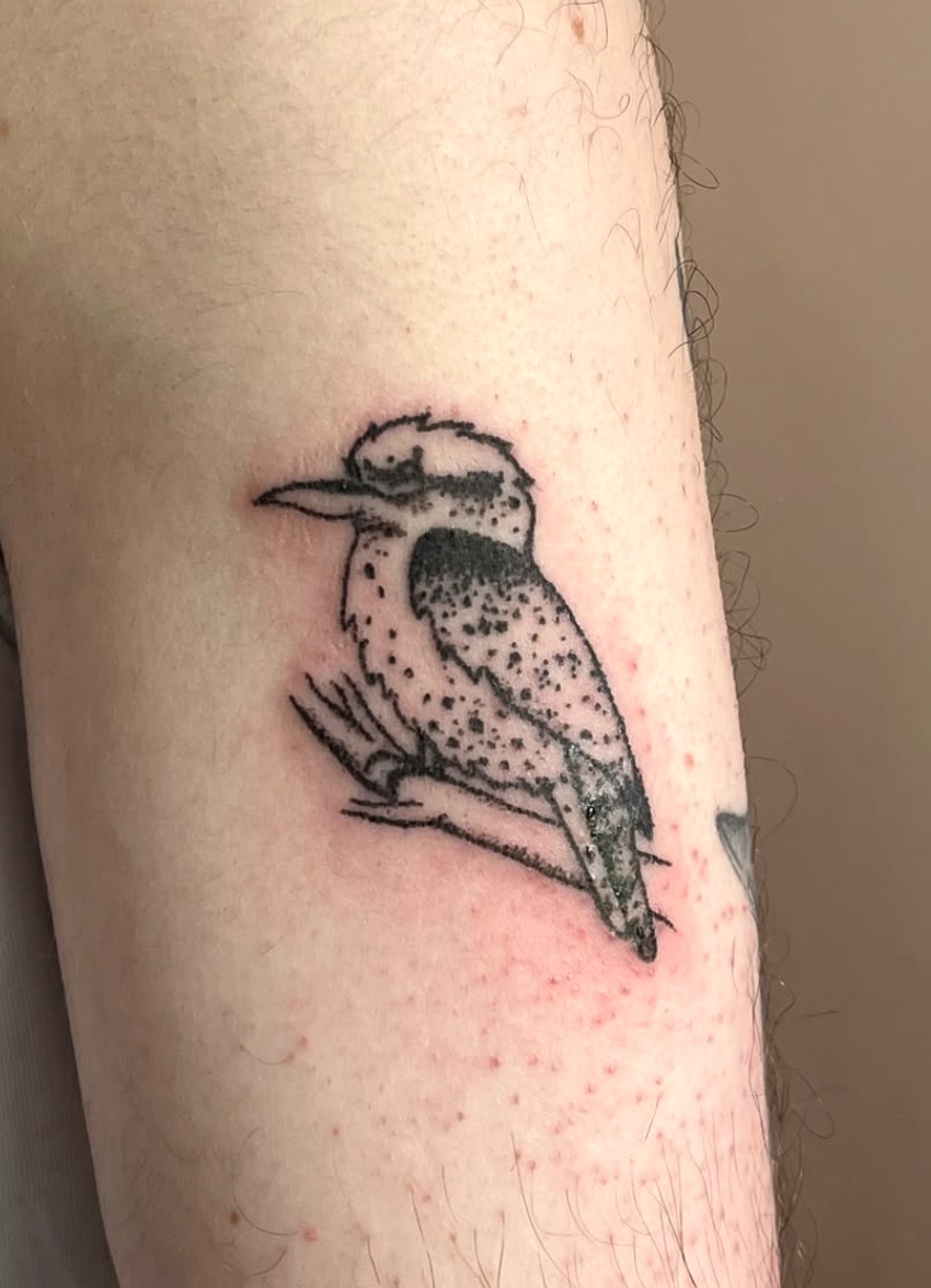 Screenshot 2025-03-05 at 8.07.17 PM.png