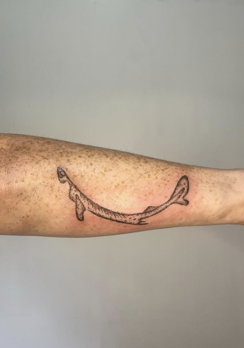 Screenshot 2025-03-04 at 6.37.33 PM.png