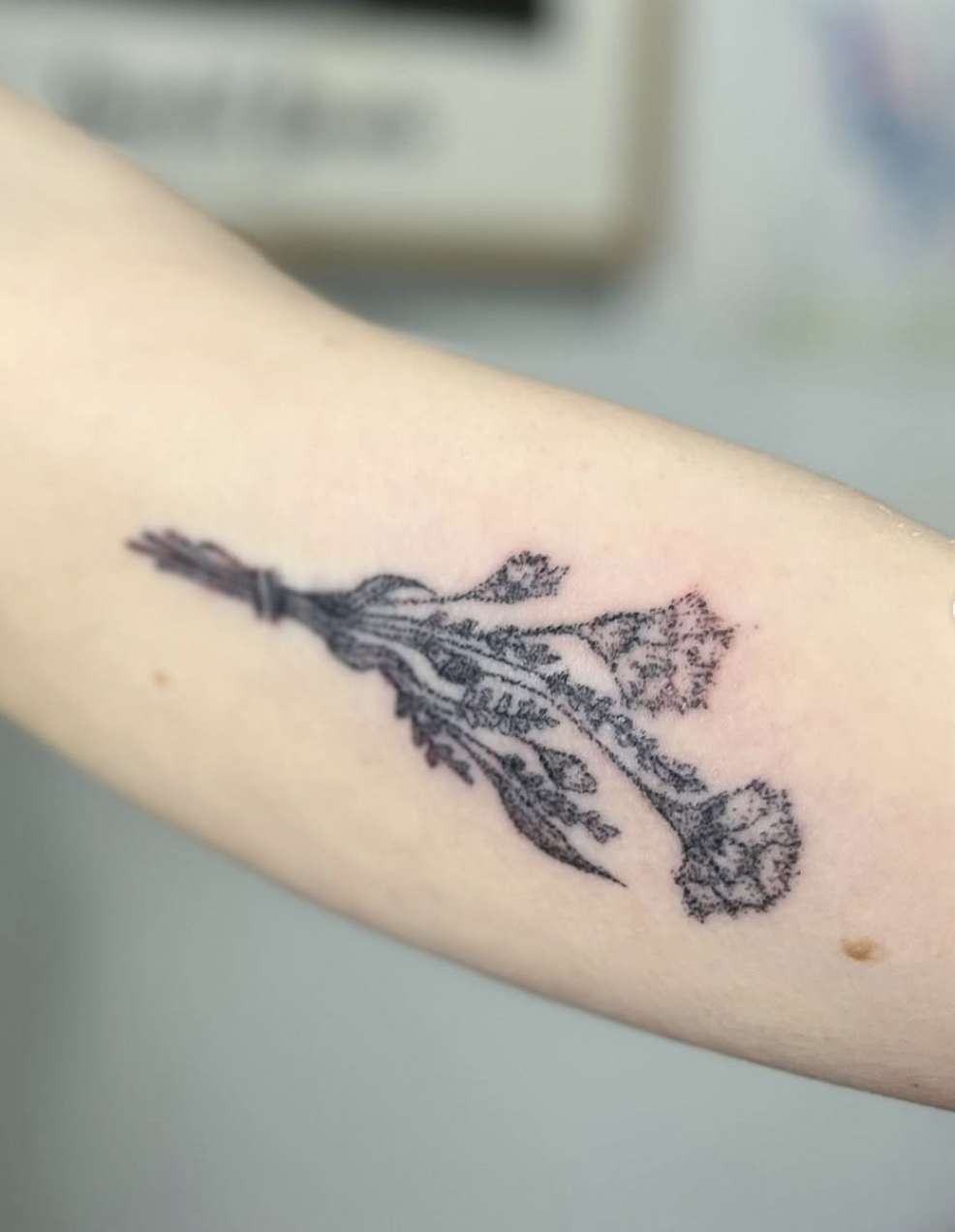 Screenshot 2025-03-05 at 8.11.45 PM.png