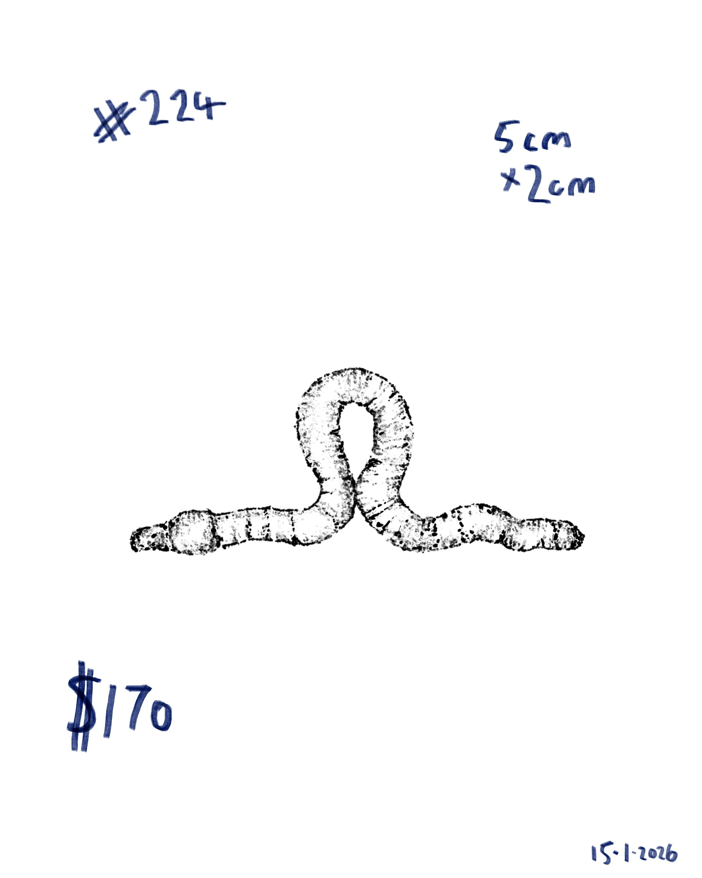 Untitled_Artwork 13.jpg