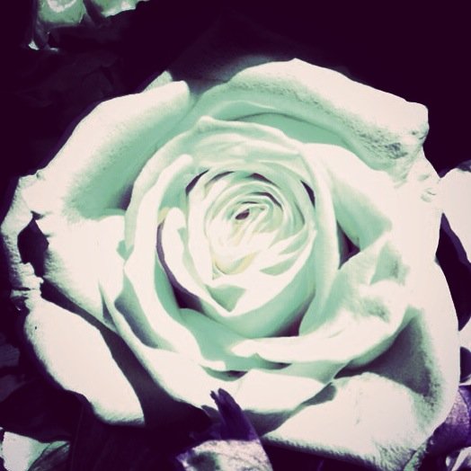 The Original Error Garden