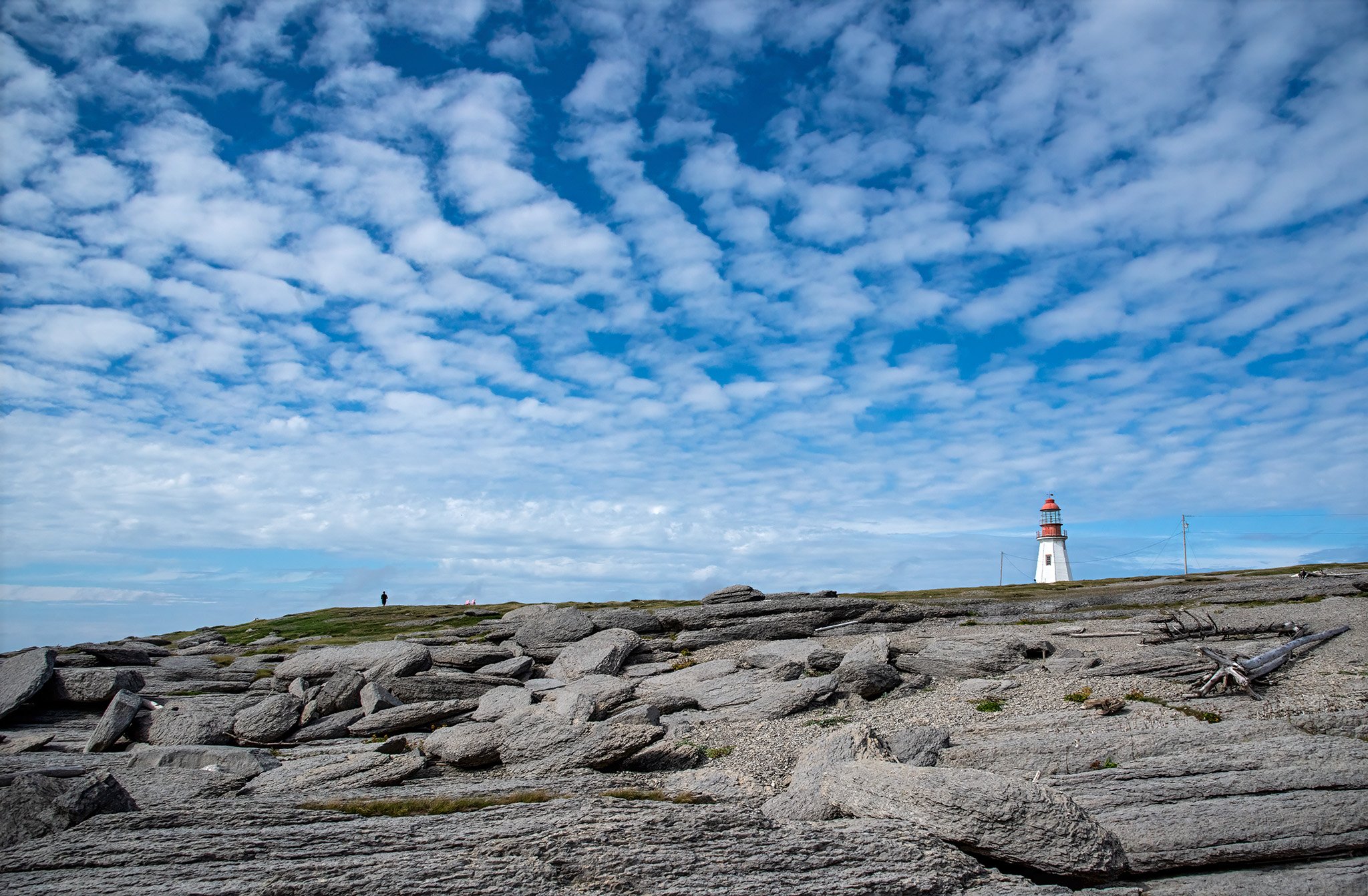 Endless Sky, Newfoundland