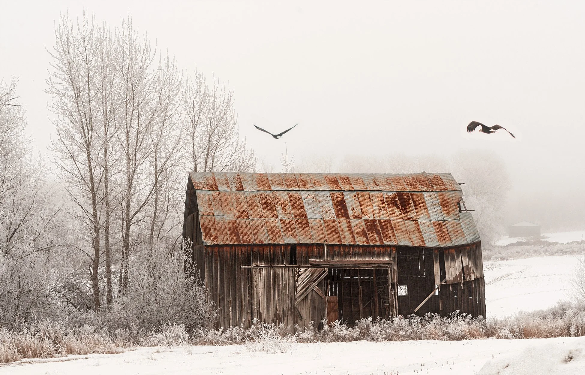 Flyover, Enderby