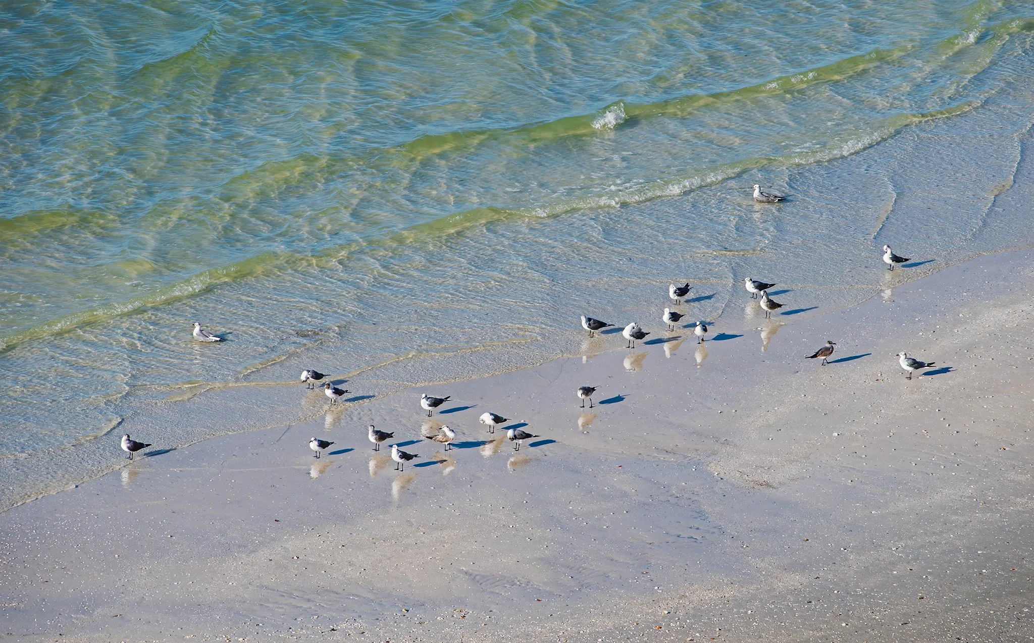 Looking Down, Clearwater Florida