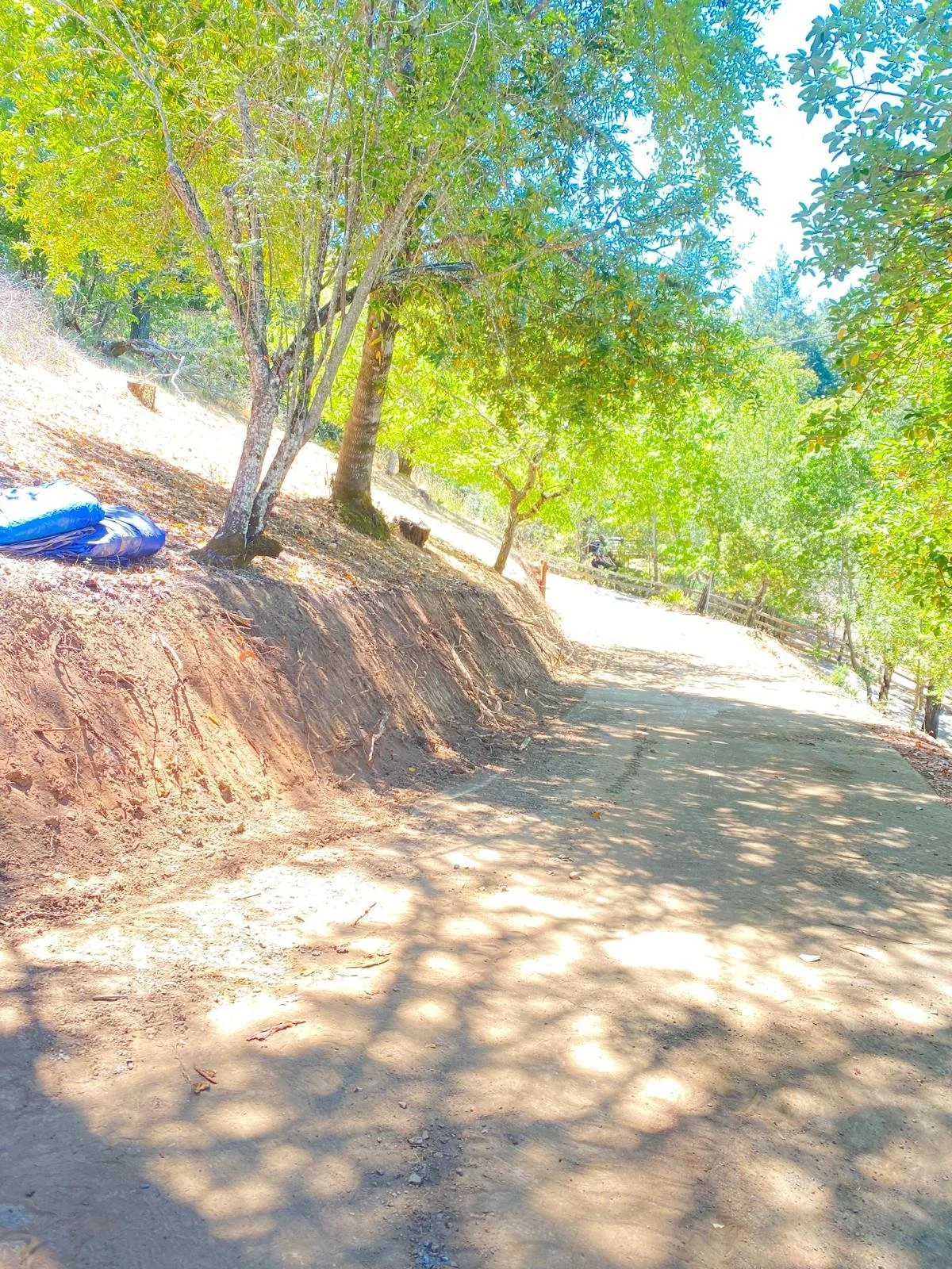 WhatsApp Image 2025-03-16 at 5.35.21 PM (3).jpeg