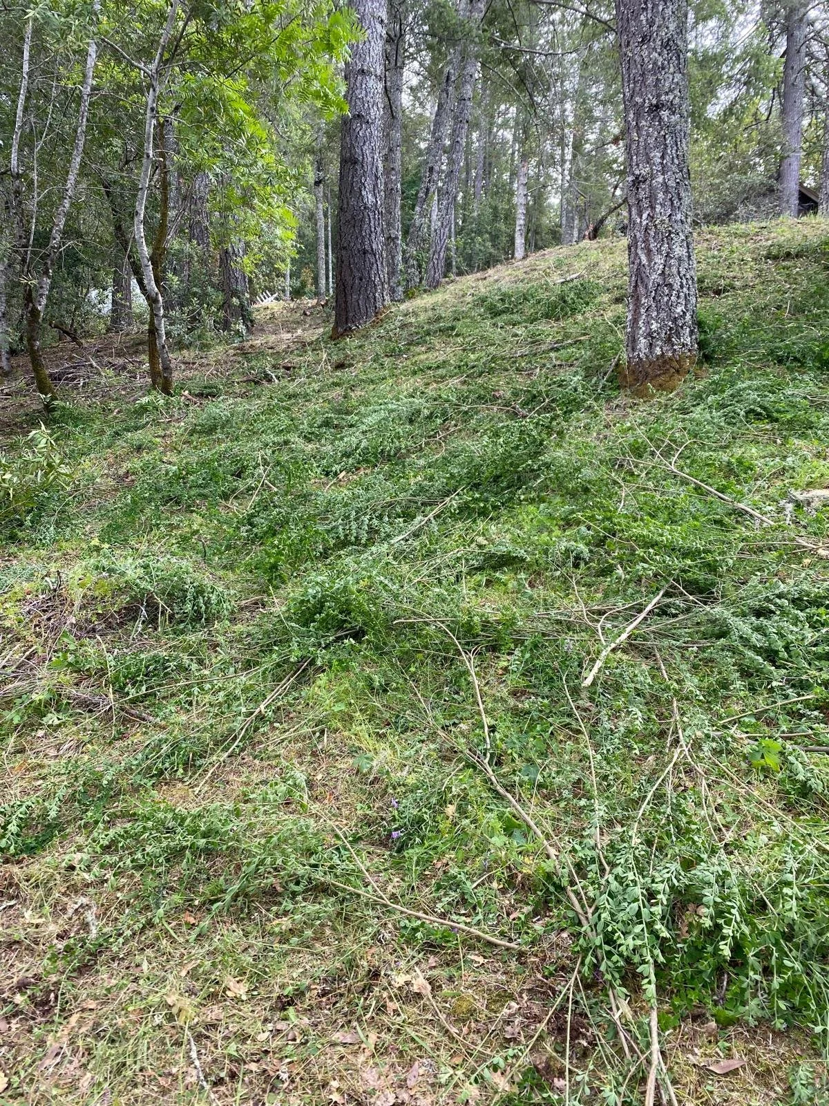 WhatsApp Image 2025-03-16 at 5.35.21 PM.jpeg