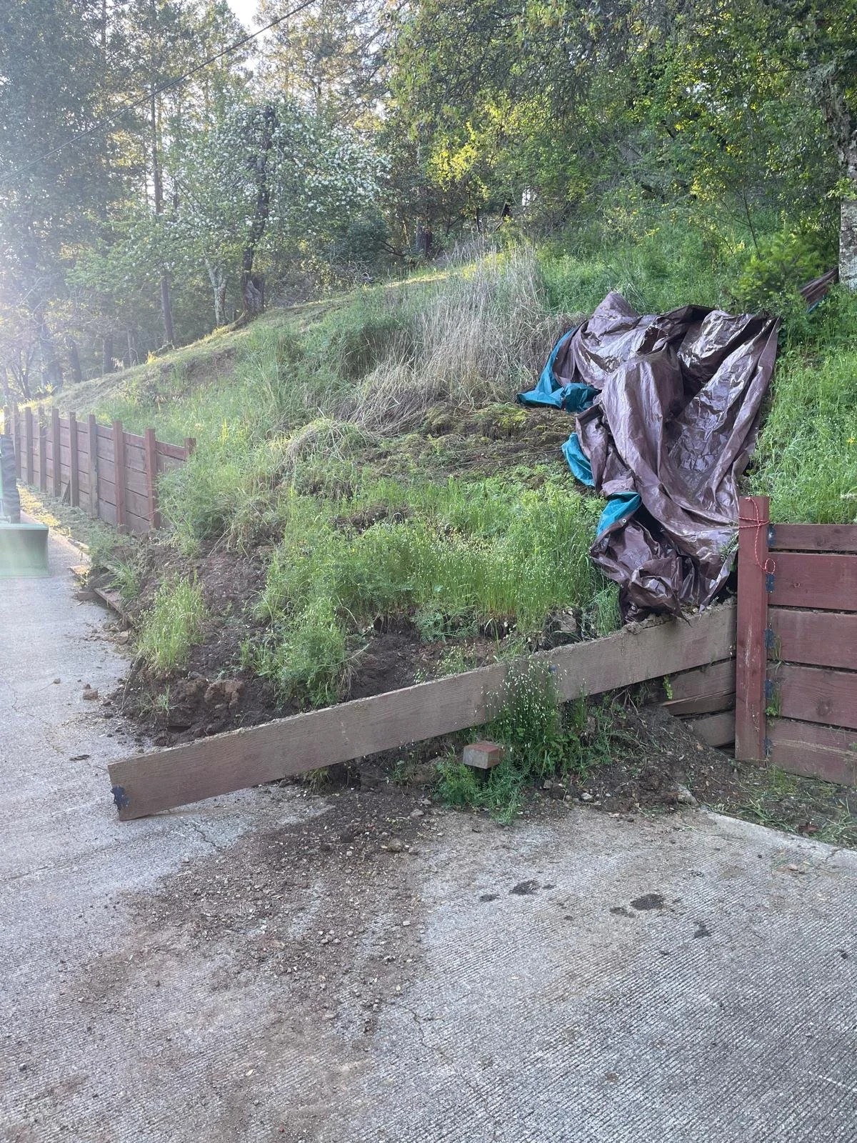 WhatsApp Image 2025-03-16 at 5.35.20 PM.jpeg