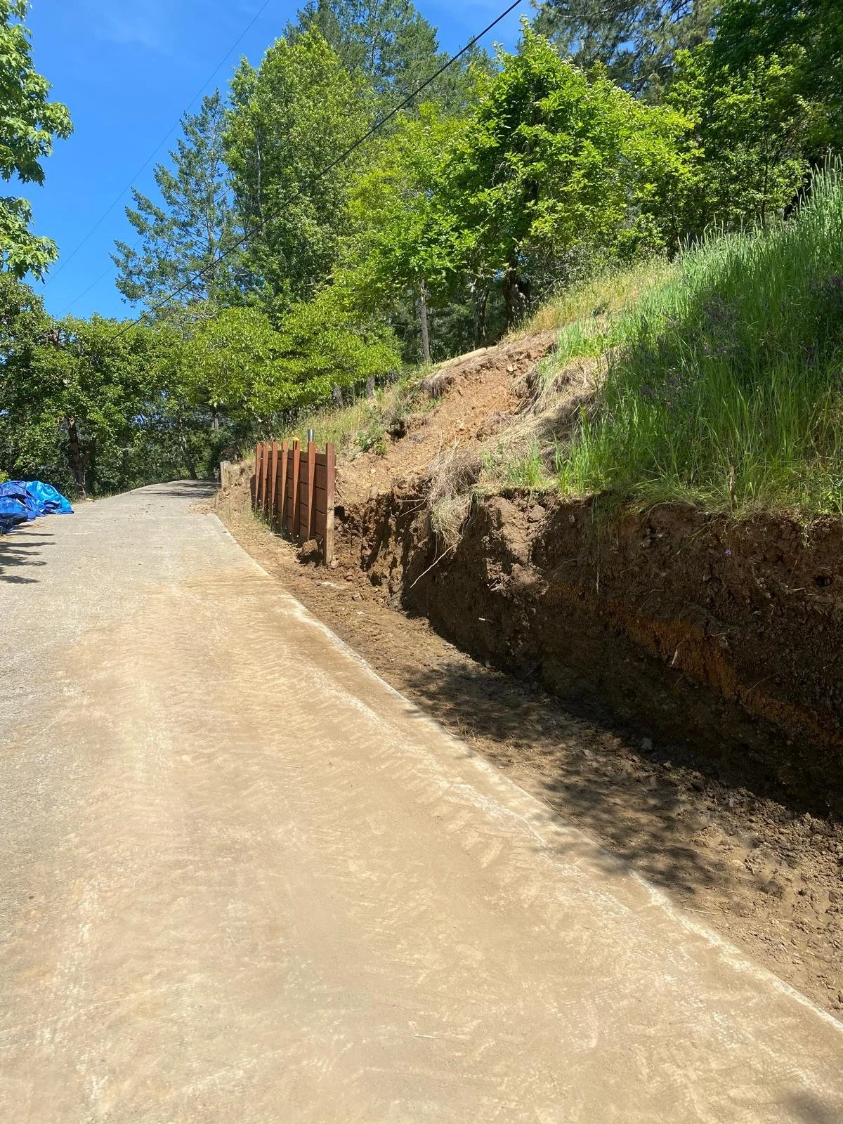 WhatsApp Image 2025-03-16 at 5.35.21 PM (5).jpeg