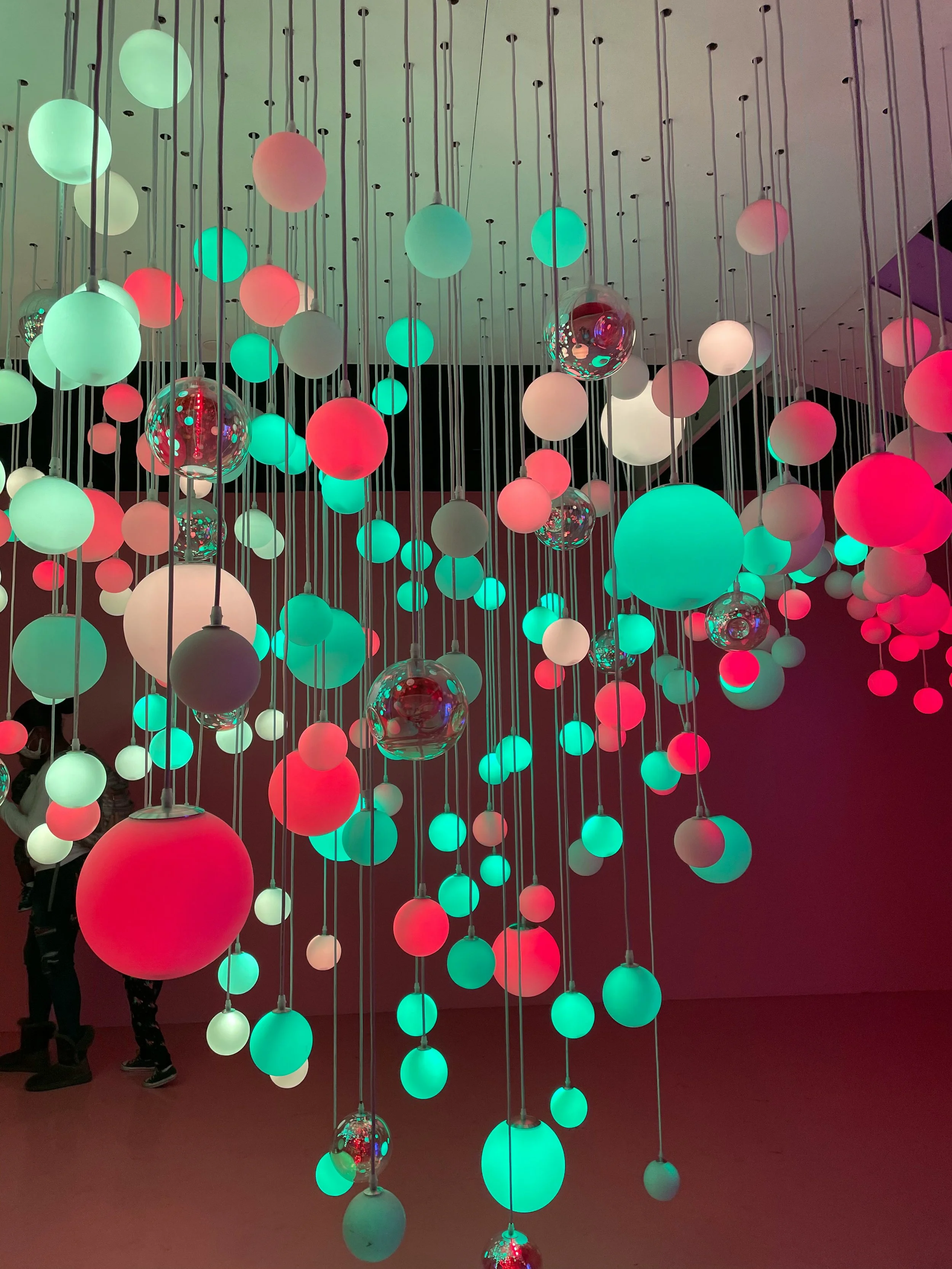 The Dallas Museum of Art