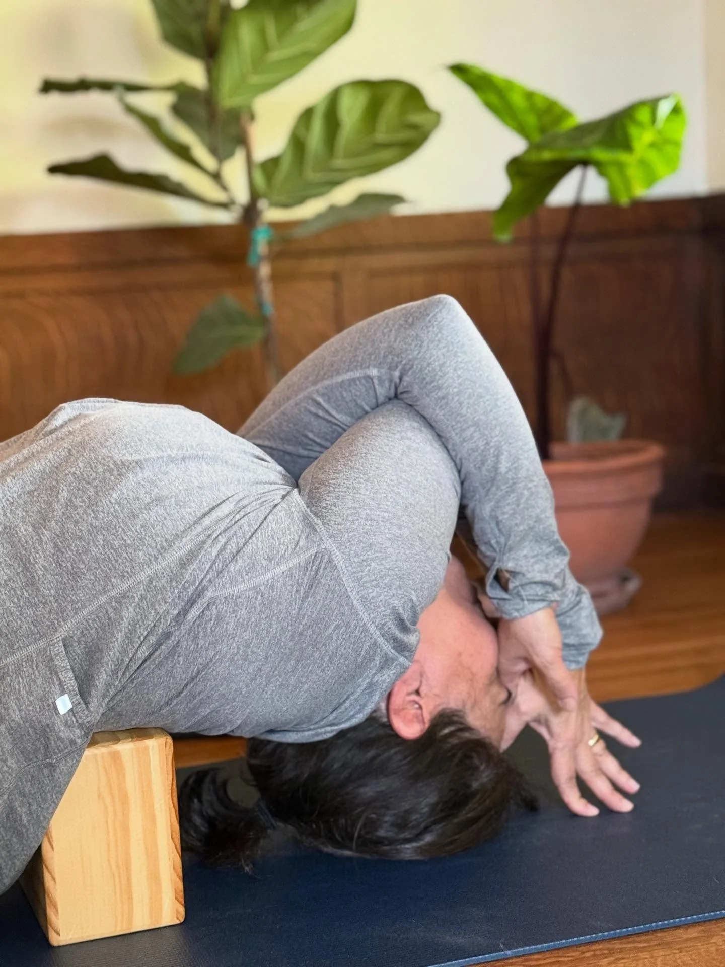 Happy Holidays. 
We are closed Wednesday and Thursday this week. 

Open today for the 9:30 🍂🍁

Check our full schedule online!

#joyyogaproject
#posturalrepair
#breathe