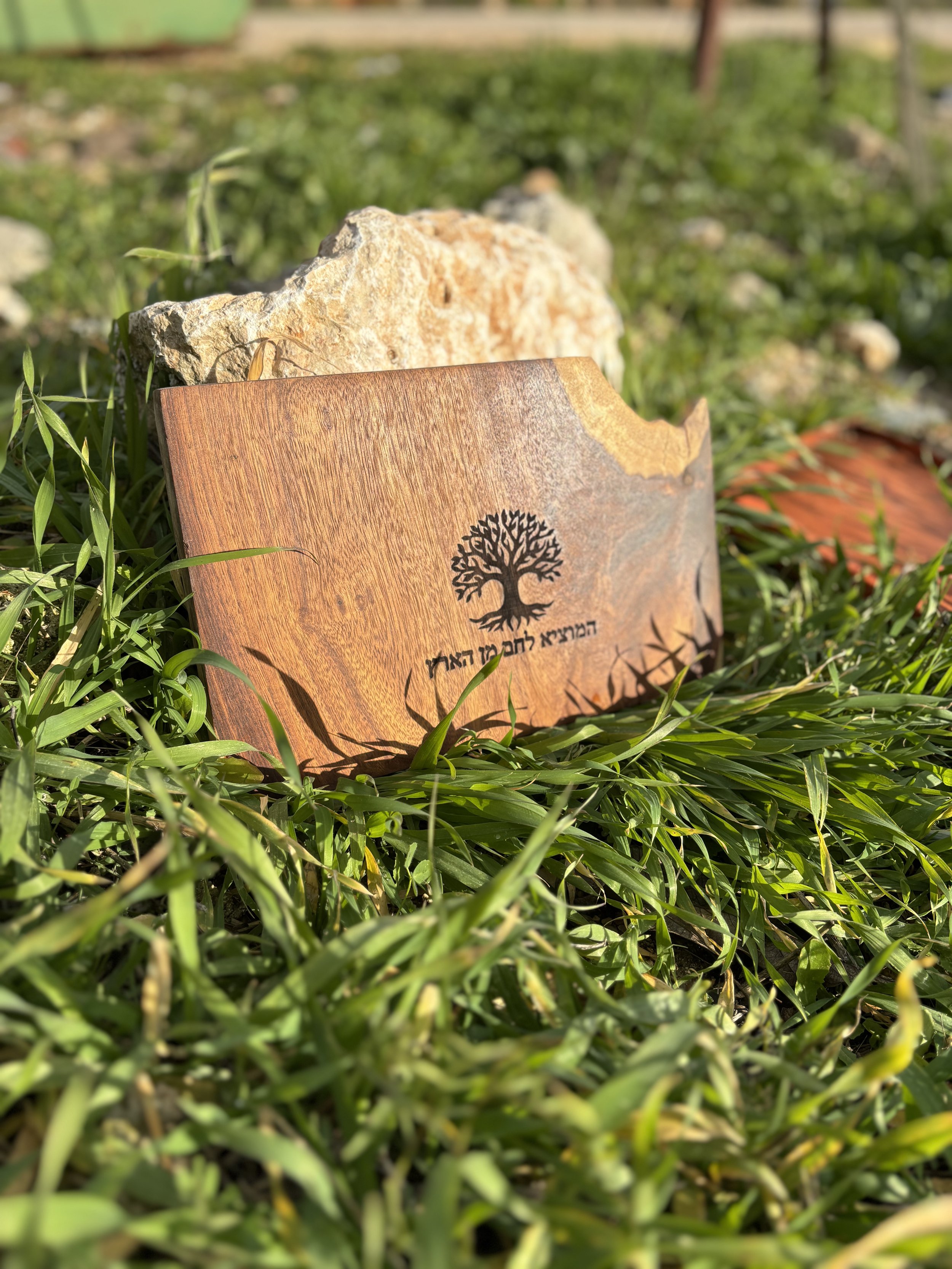 A wooden sign with a black tree symbol and Hebrew text, placed on green grass near rocks in an outdoor setting.