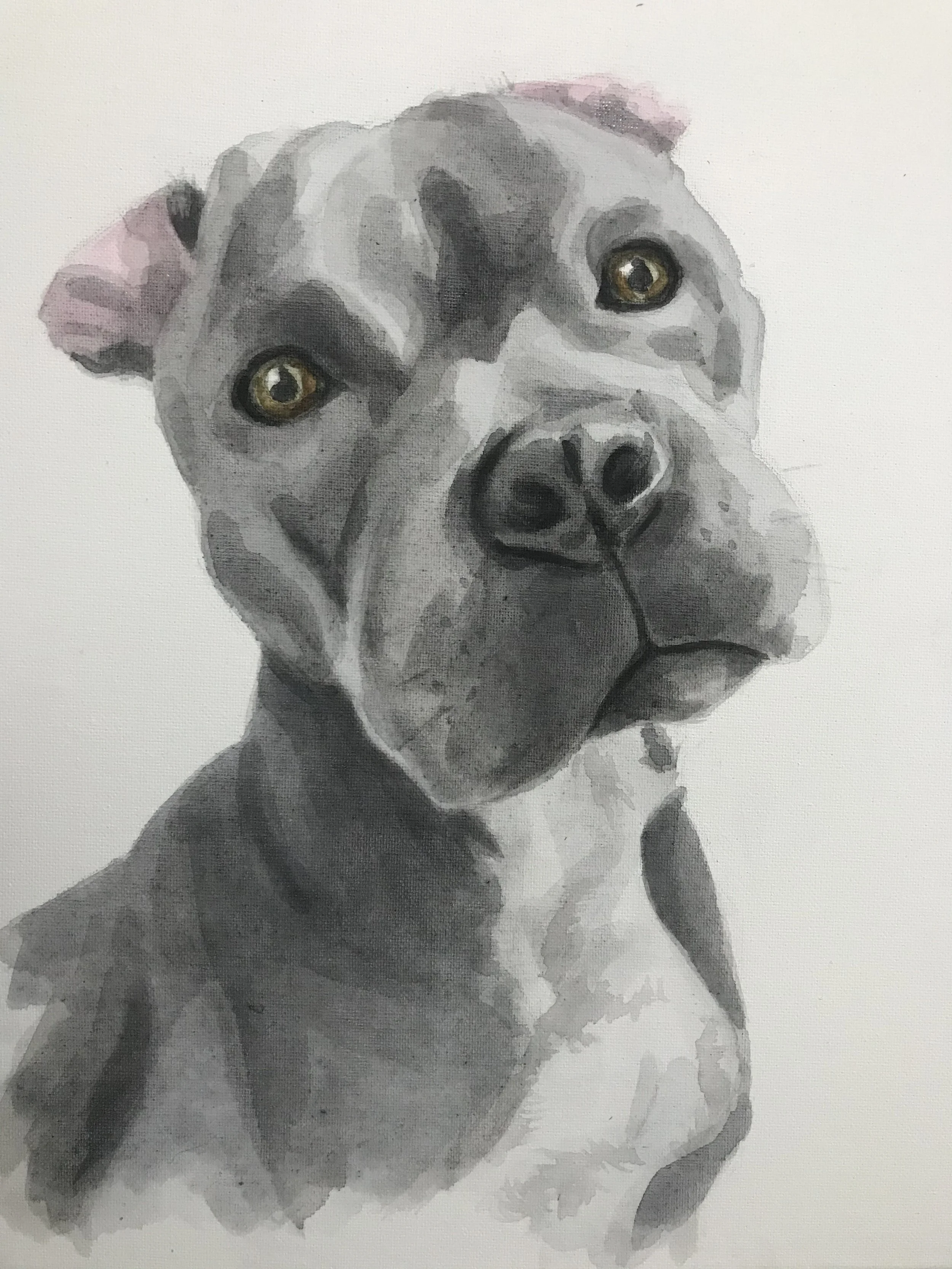 Muse&Flow Miami Art Services Commission Artist Patricia Machin book an artist  A watercolor painting of a dog with a gray coat, large golden eyes, and a pink bow on one ear.