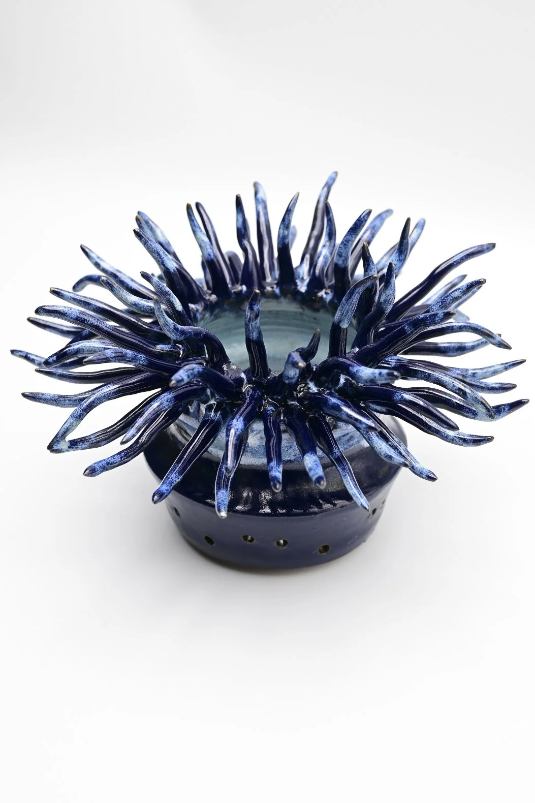 Blue glass vase with petal-like extensions resembling an ocean creature or sea anemone on a white background.