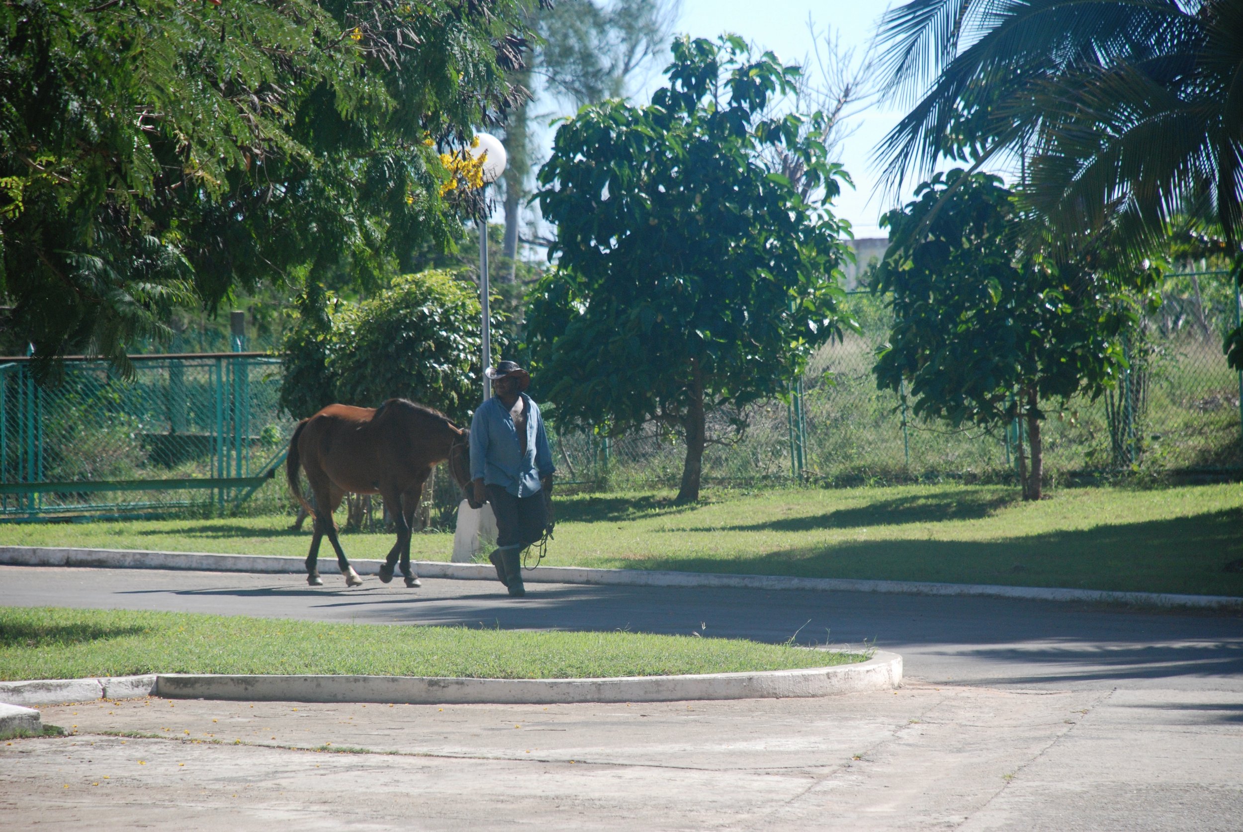 DSC_0109.jpeg