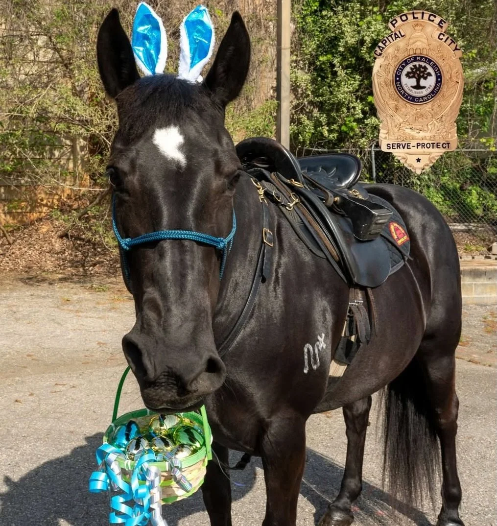 The raleigh police department foundation wishes everyone a Happy Easter. May this special season bring renewed hope, peace, and happiness to individuals, families, and communities everywhere.

As we celebrate this time of renewal and reflection, may 
