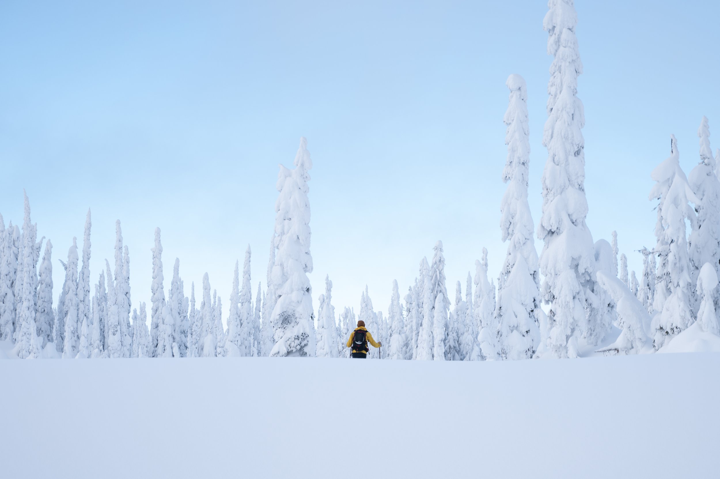 A person in a yellow jacket and backpack walking through a snowy forest with tall snow-covered trees under a clear blue sky.