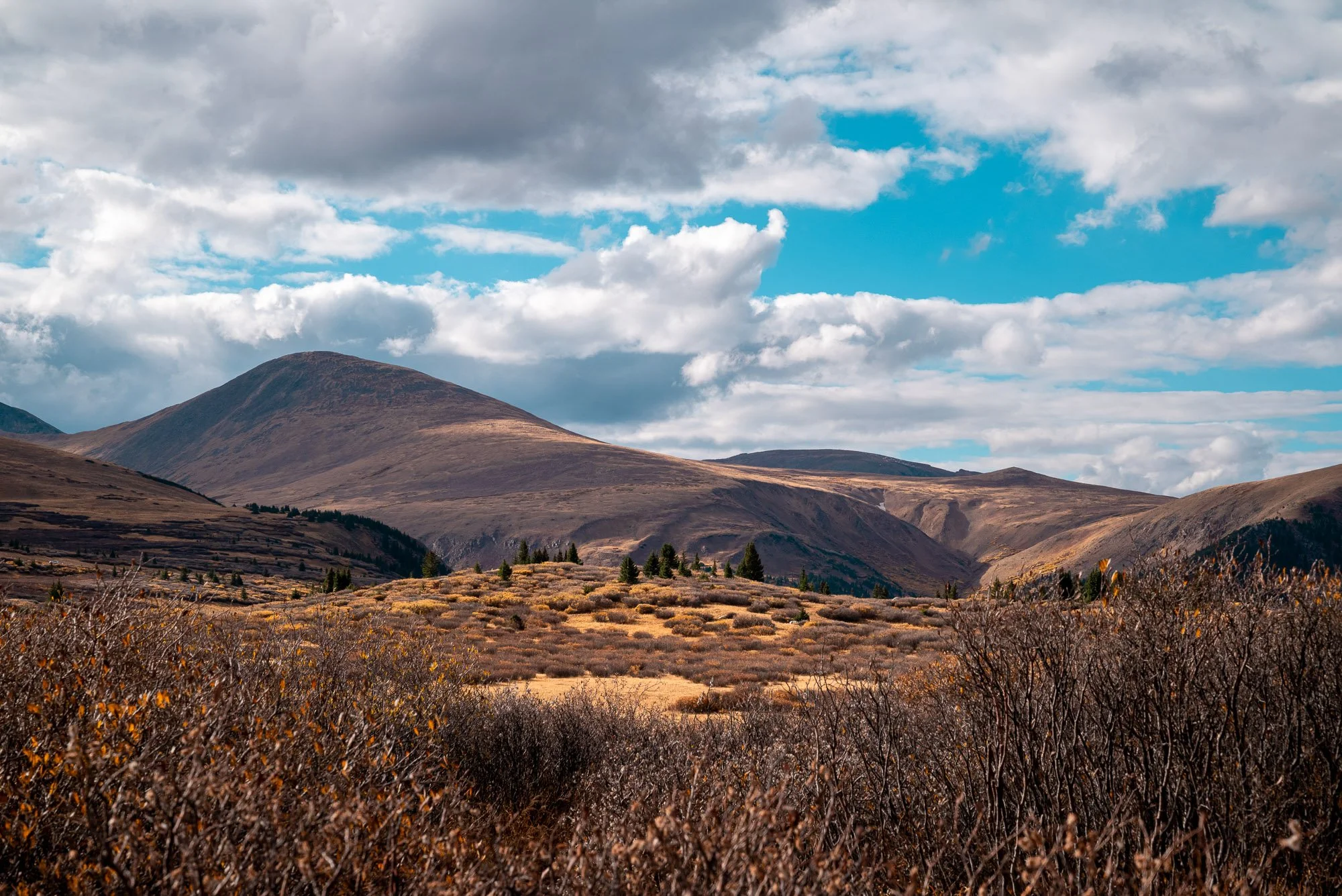A scenic landscape of rolling hills and mountains under a partly cloudy sky, with sparse trees and shrubs in the foreground.