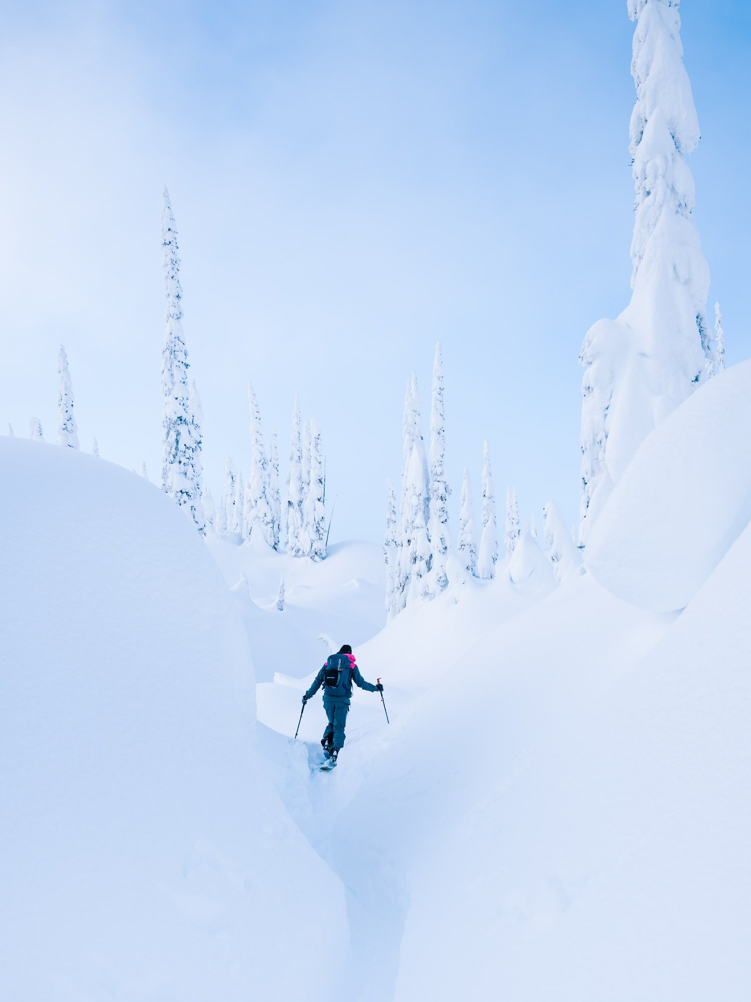A person hiking through deep snow in a winter forest with snow-covered trees and a light blue sky. Blanket Glacier - BC, Canada