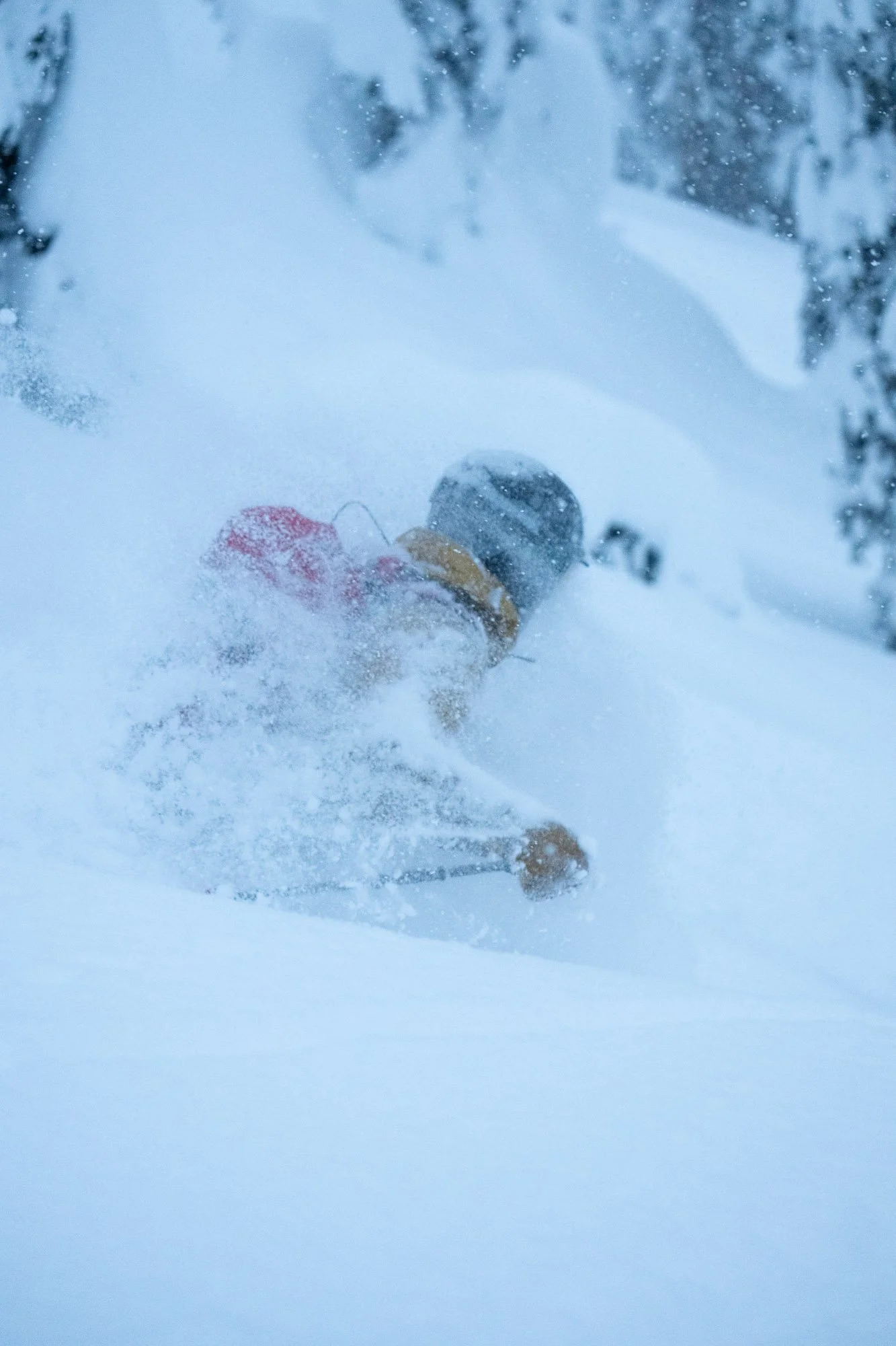 A person skiing down a snow-covered slope surrounded by trees, captured from behind and slightly below. Blanket Glacier - BC, Canada