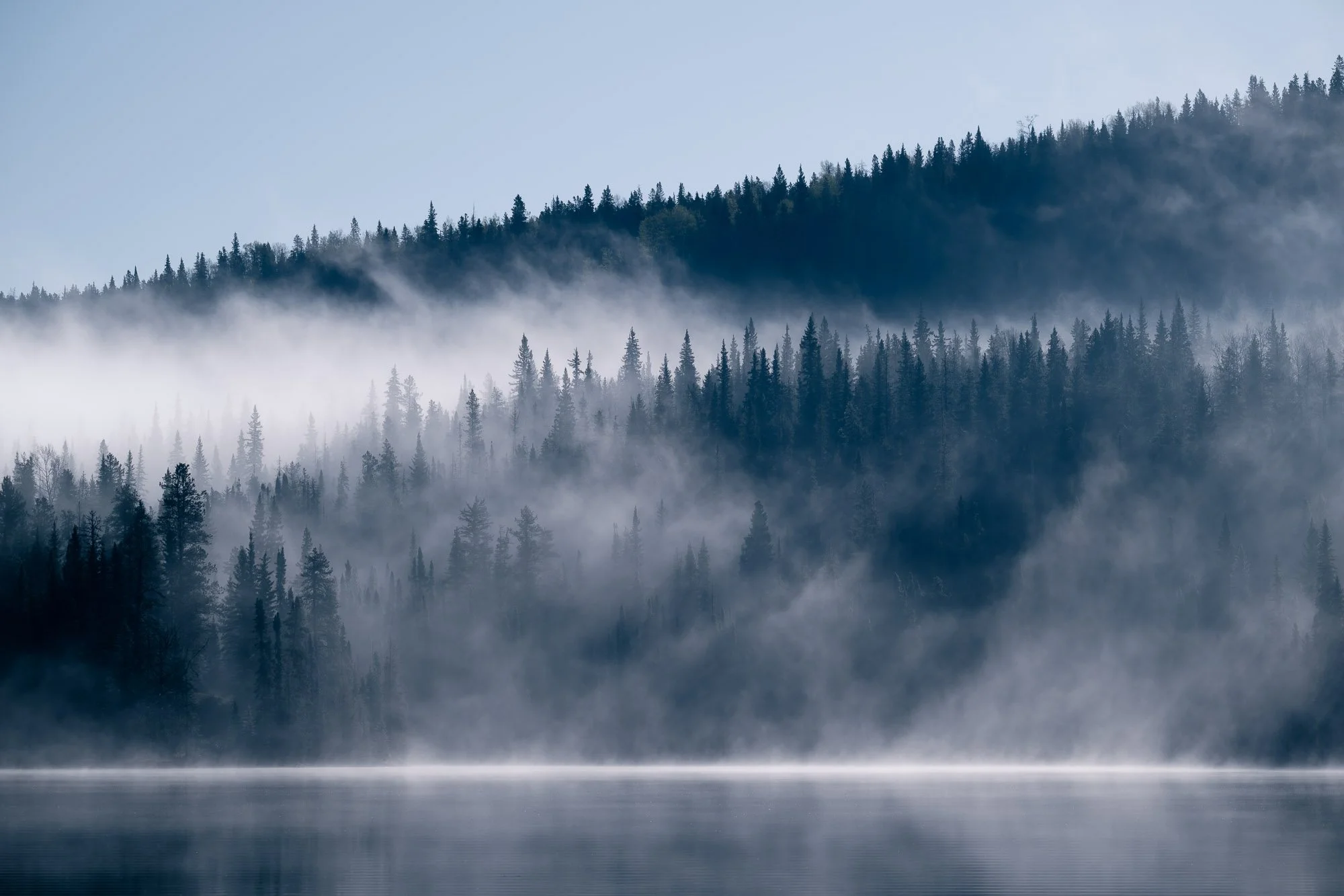 A misty forest landscape with a body of water in the foreground, and evergreen trees on a mountain in the background. British Columbia, Canada