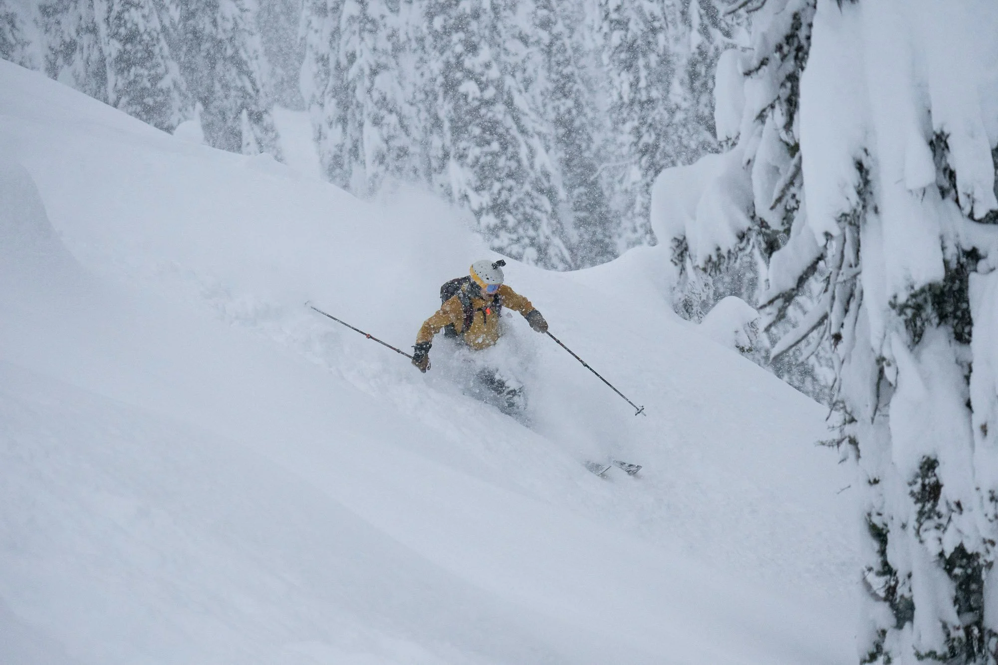 A skier in a brown jacket, wearing a white helmet and goggles, skiing down a snow-covered slope surrounded by snow-laden trees. Blanket Glacier - BC, Canada