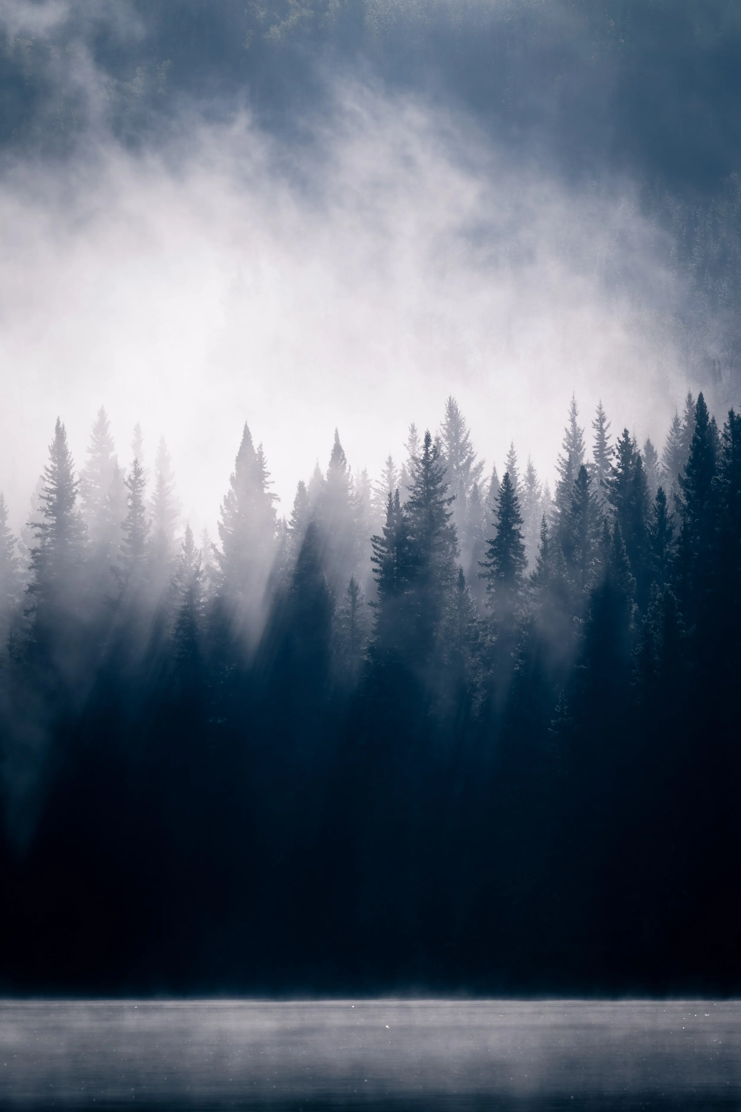 Sunlight streams through fog over a dense coniferous forest with a body of water in the foreground. BC, Canada 2025