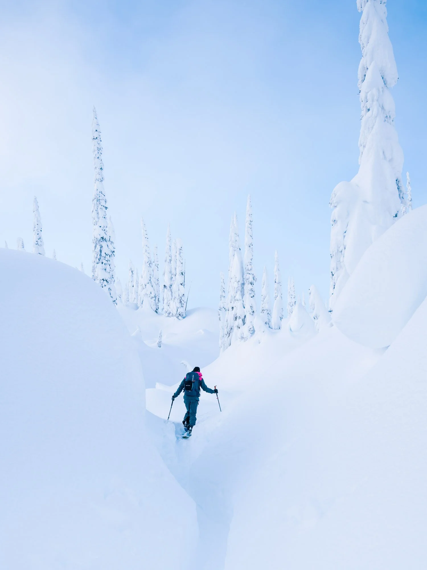 A person hiking through a snow-covered landscape with tall, snow-laden trees under a blue sky. Blanket Glacier - British Columbia, Canada