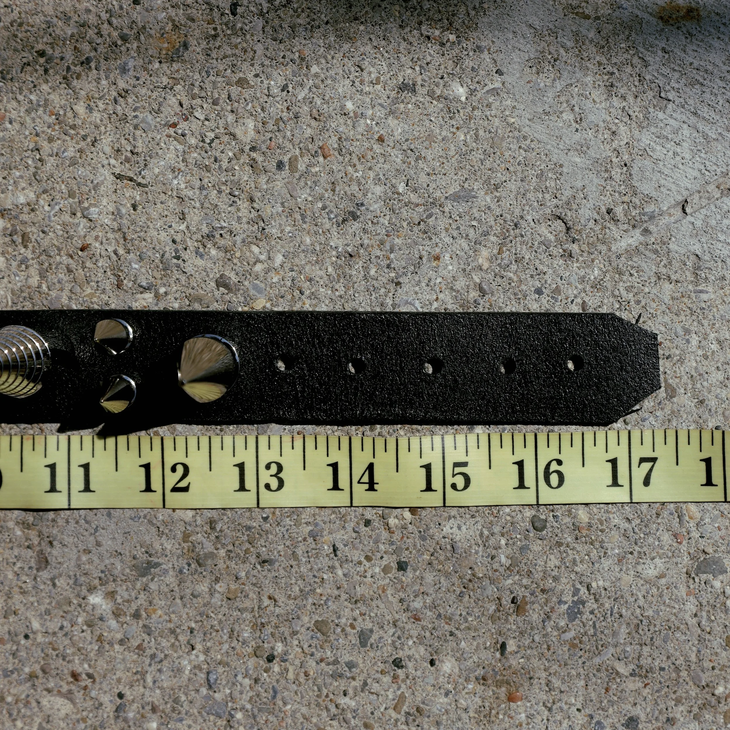 _R7A8350.JPG