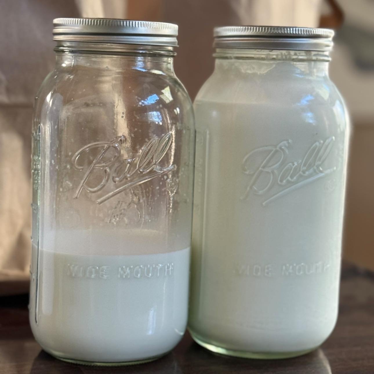 Milking & Milk Processing Workshop