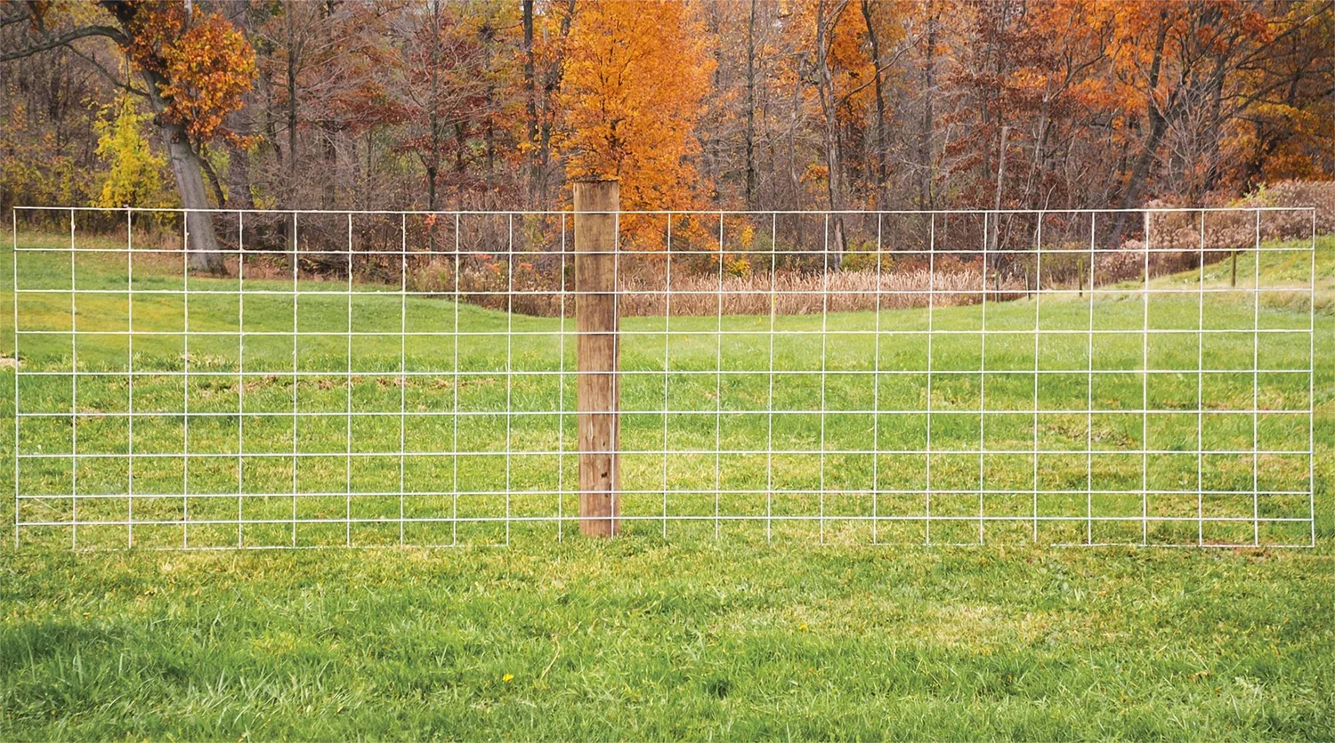 What Type of Fencing is Suitable for Goats — Best Goat Fence Options ...