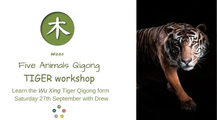 Qi Gong - Unleash Your Inner Tiger with Drew