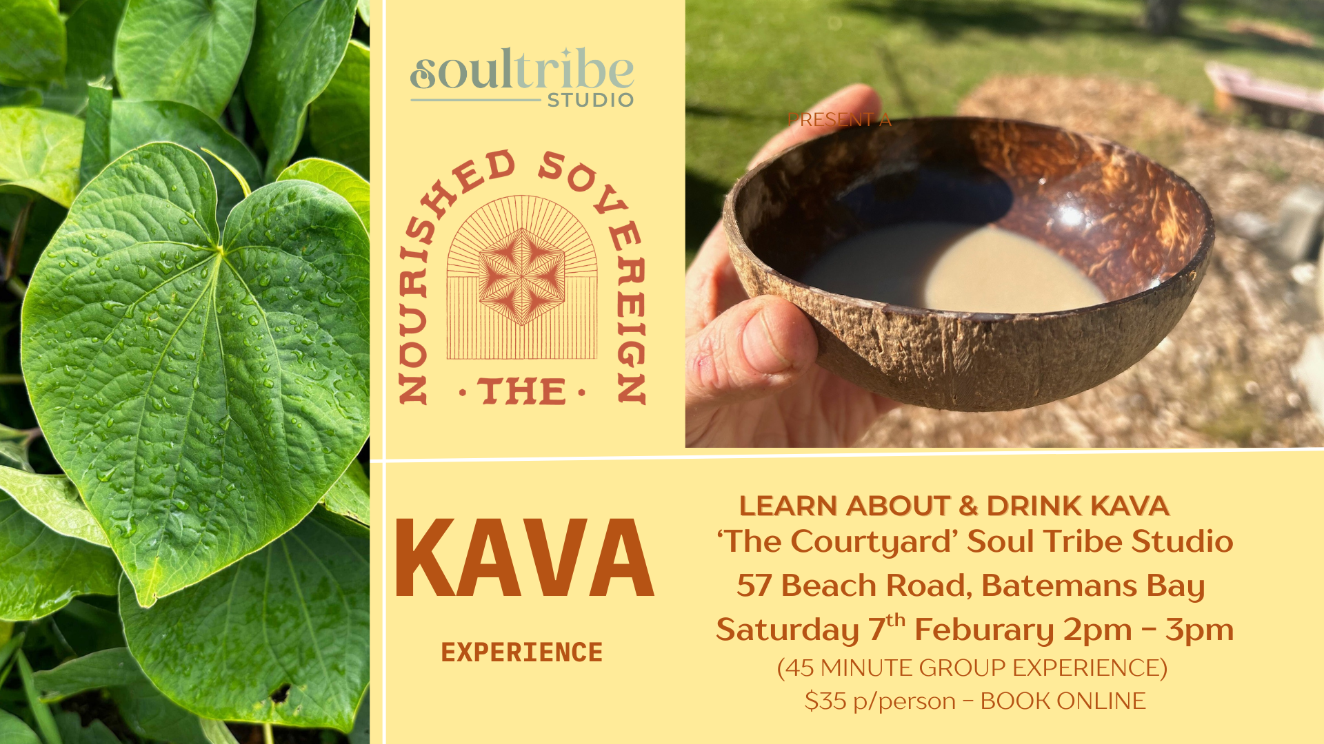 The Kava Experience