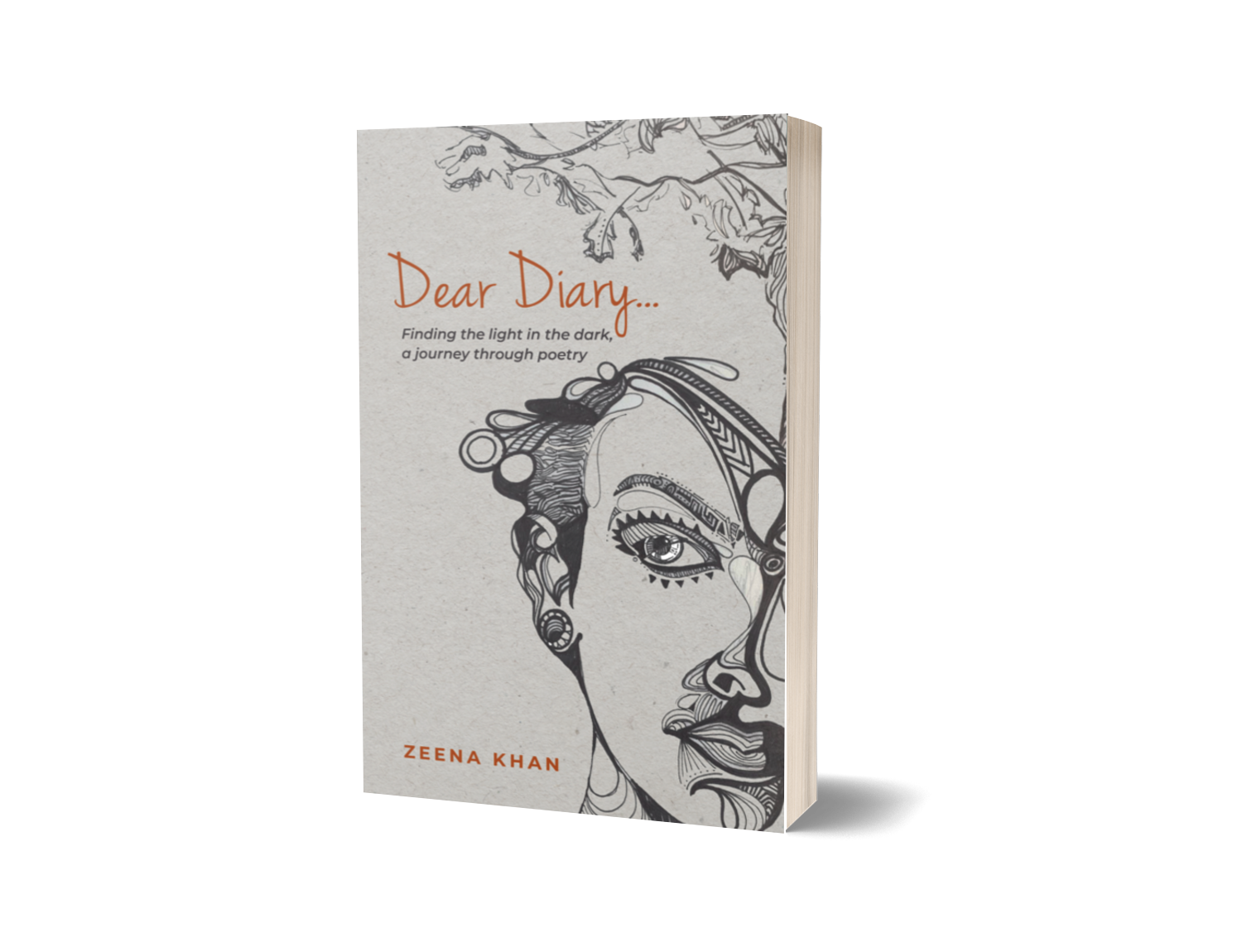 Dear+Diary+3d+cover.png