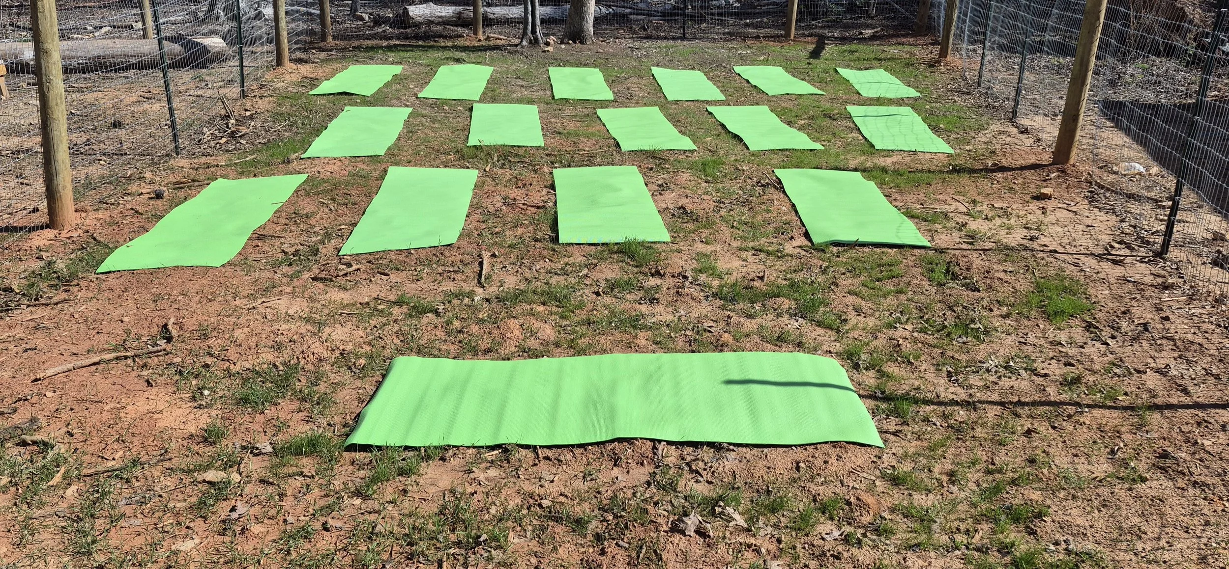 Goat Yoga 03/28/2026 @ 10AM