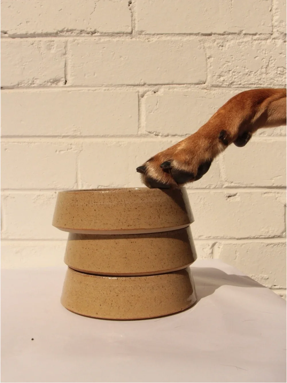 Handbuilding pottery course