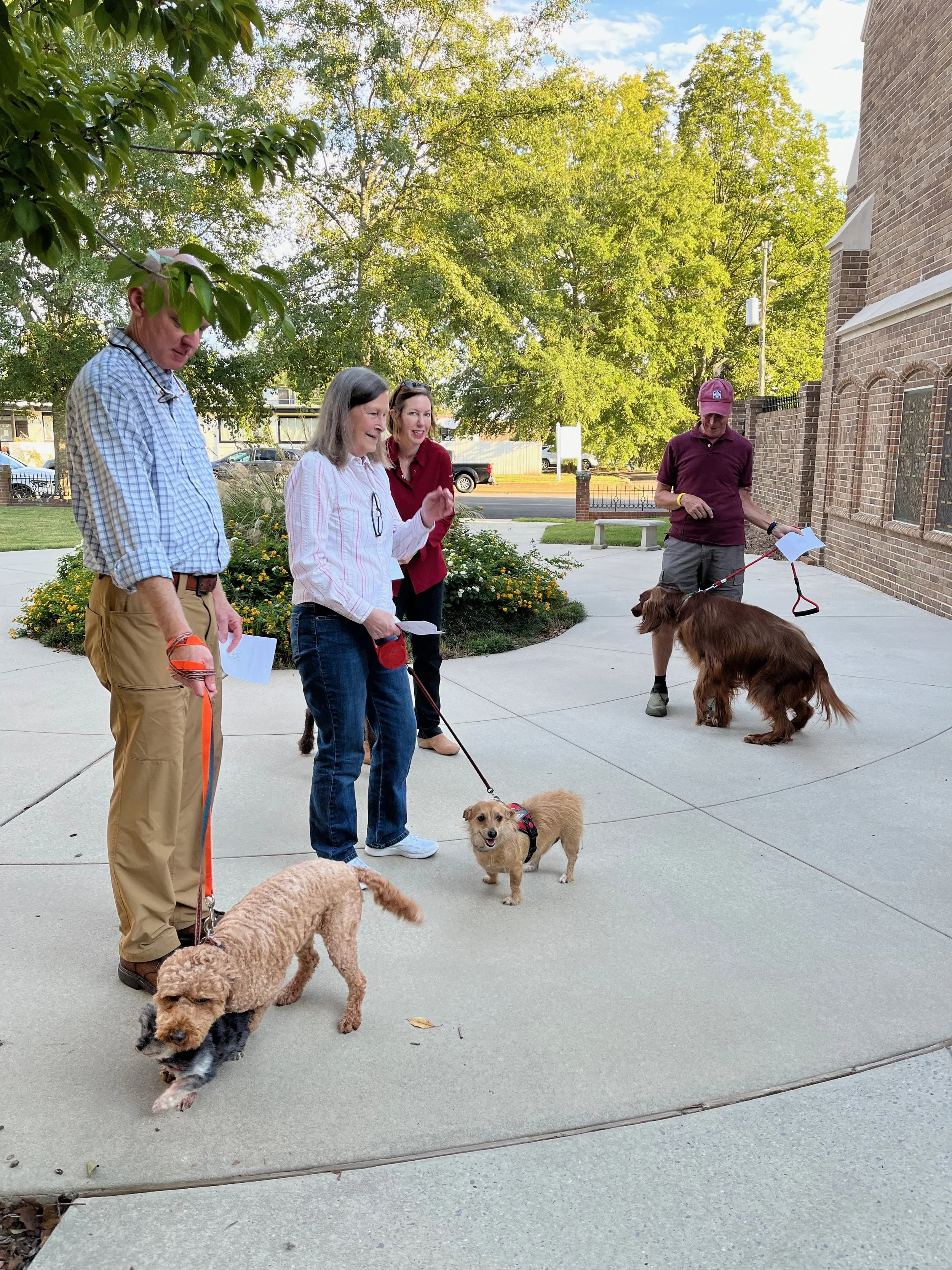 Blessing of the Animals