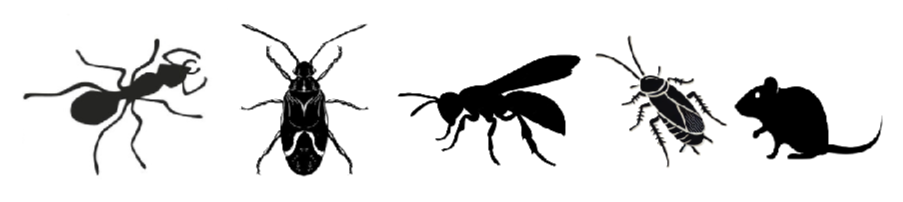 Complete Control Service