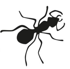 Ant Single Service