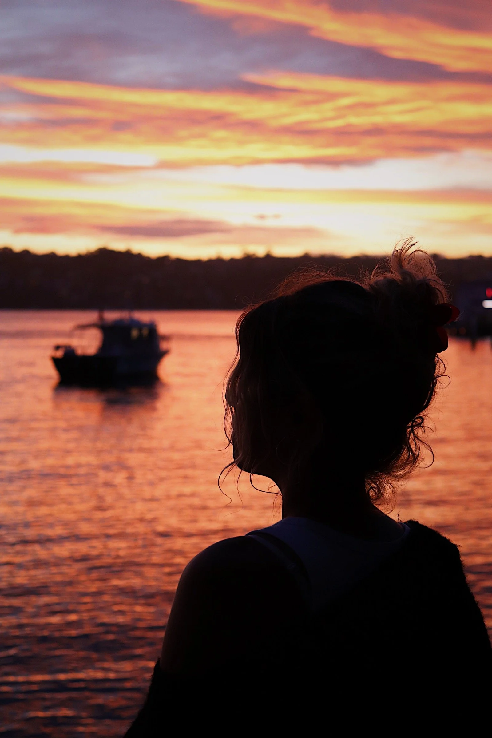 Cruise Letter: November’s for the Free Spirits 🌴