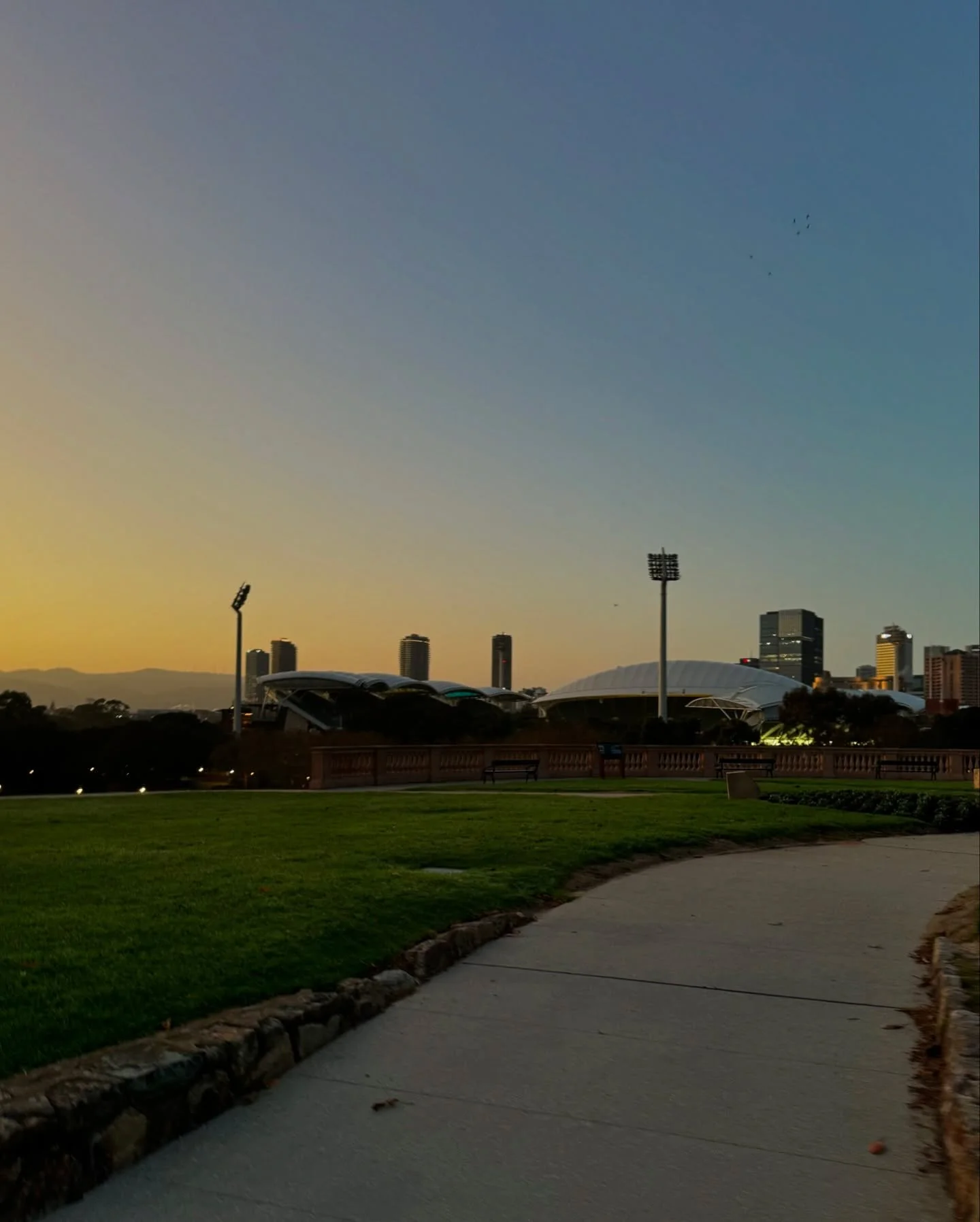 Reason 101 for coming to run club: waking up to fresh air and these scenes π€οΈπ²βοΈ