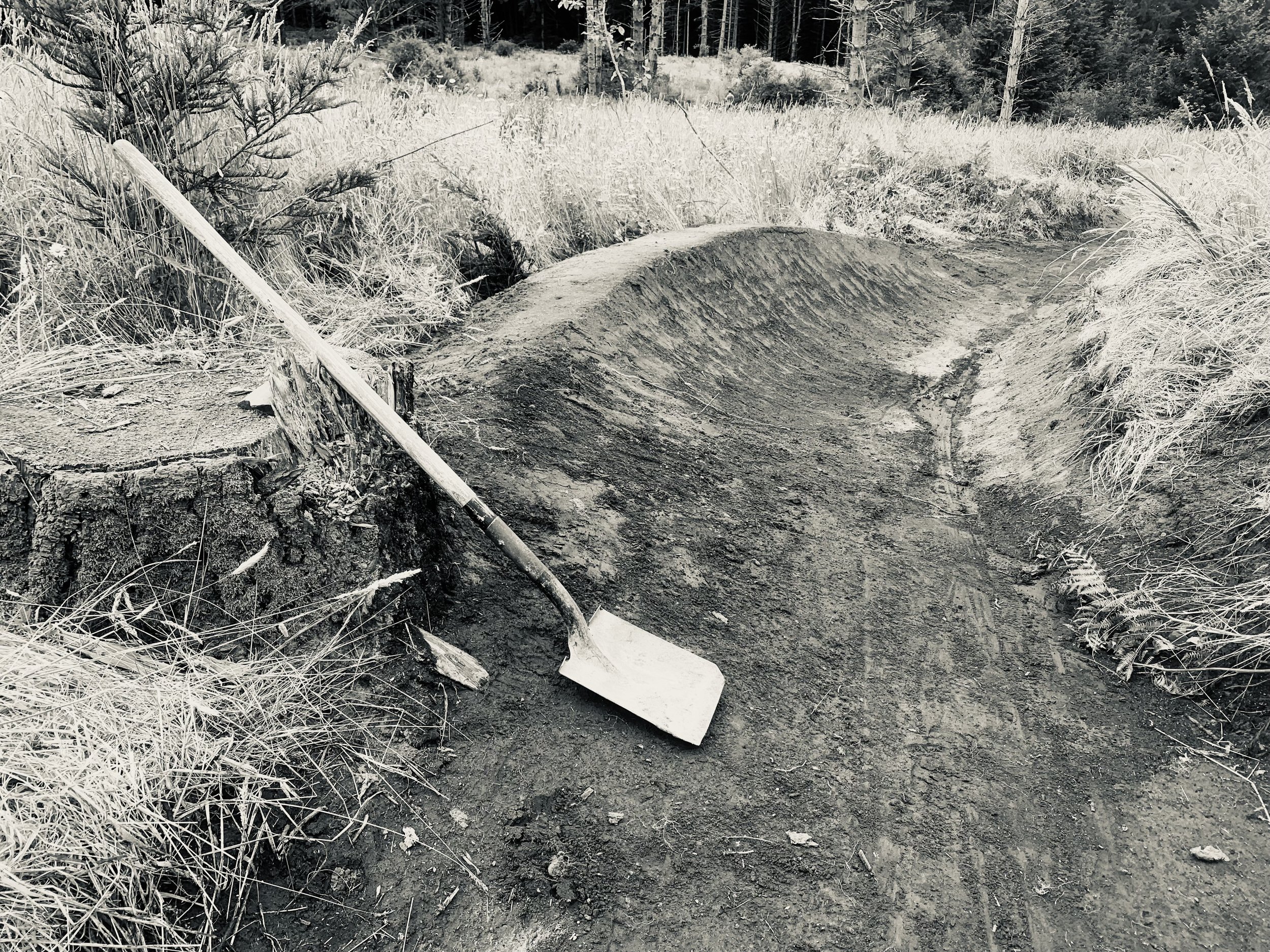 McKinleyville Trail Work Day