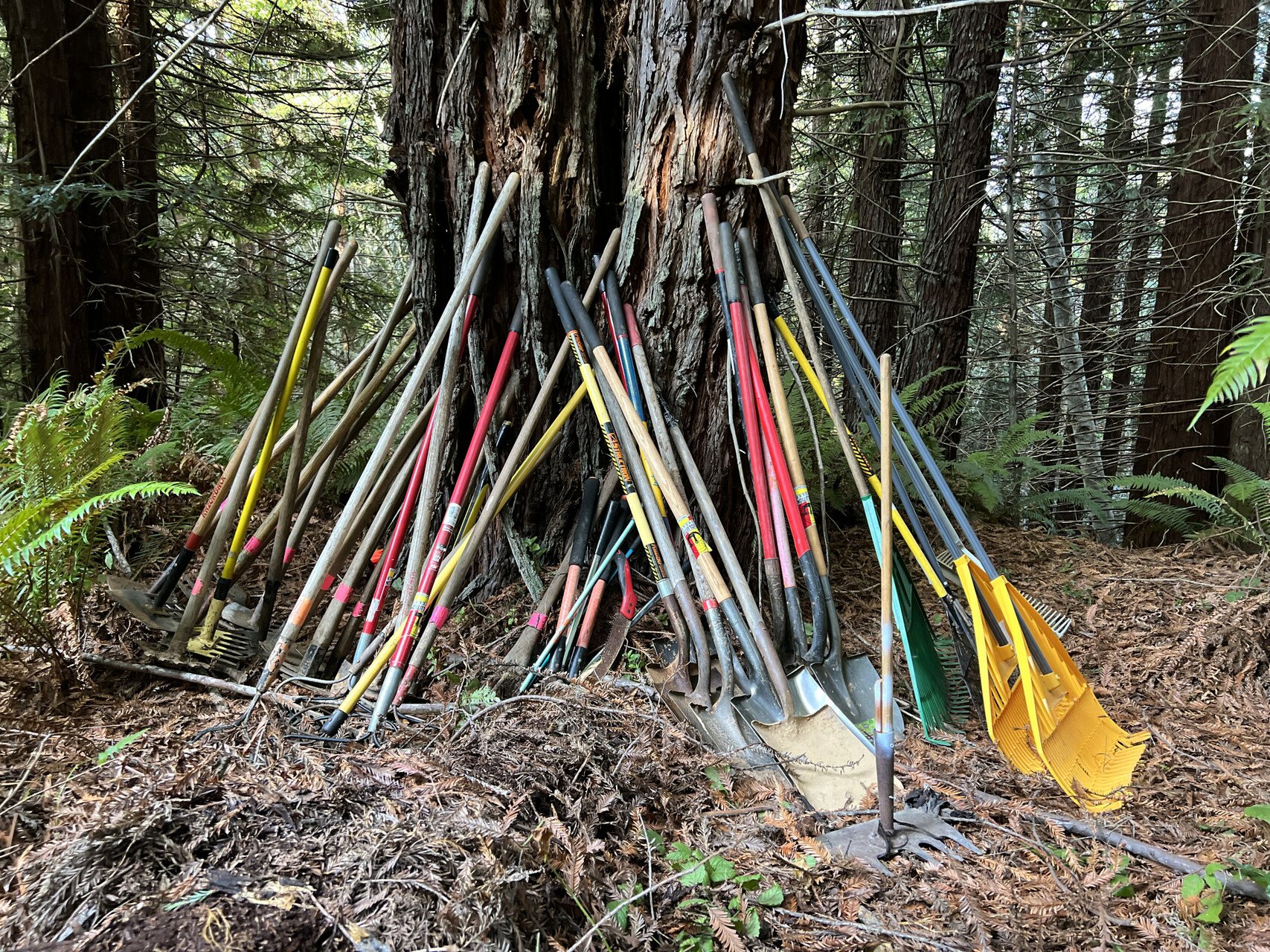 Hatchery Ridge Trail Day- Race Prep