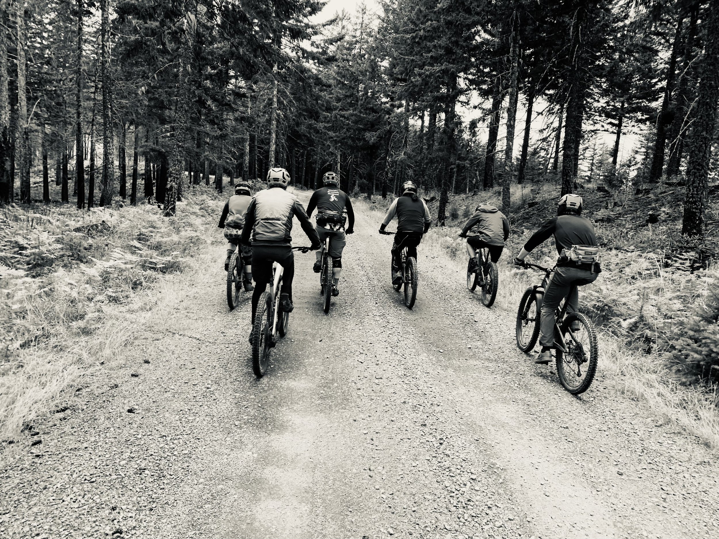Weekly Mckinleyville Group Ride