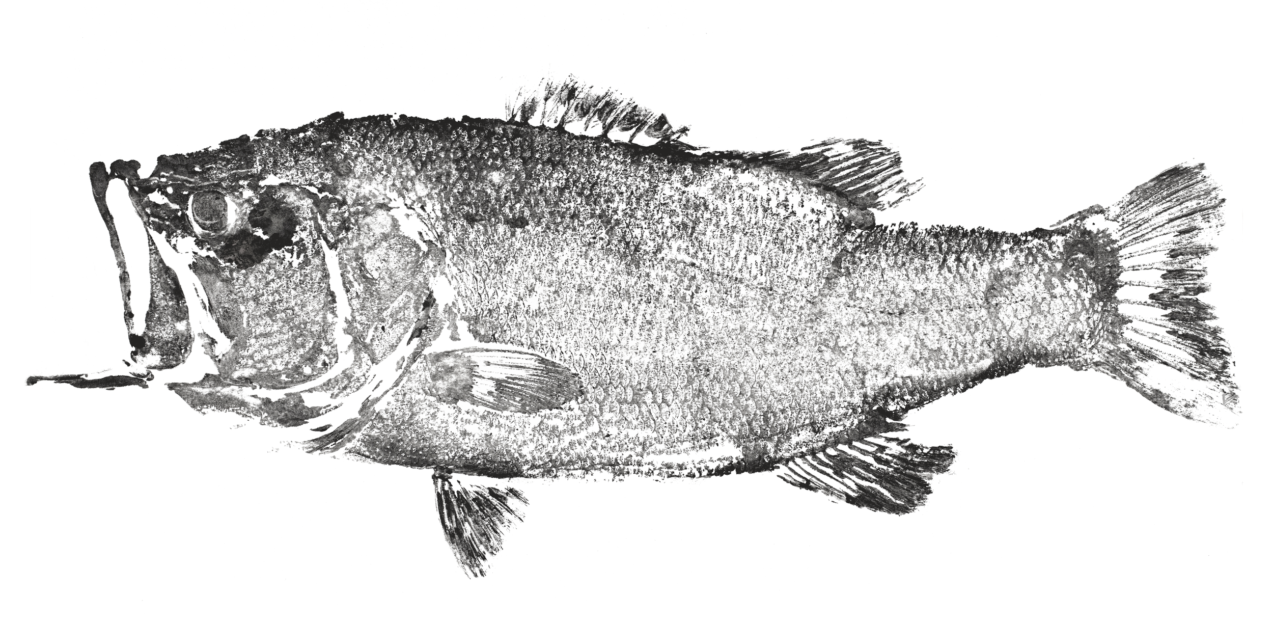 Largemouth Bass traditional