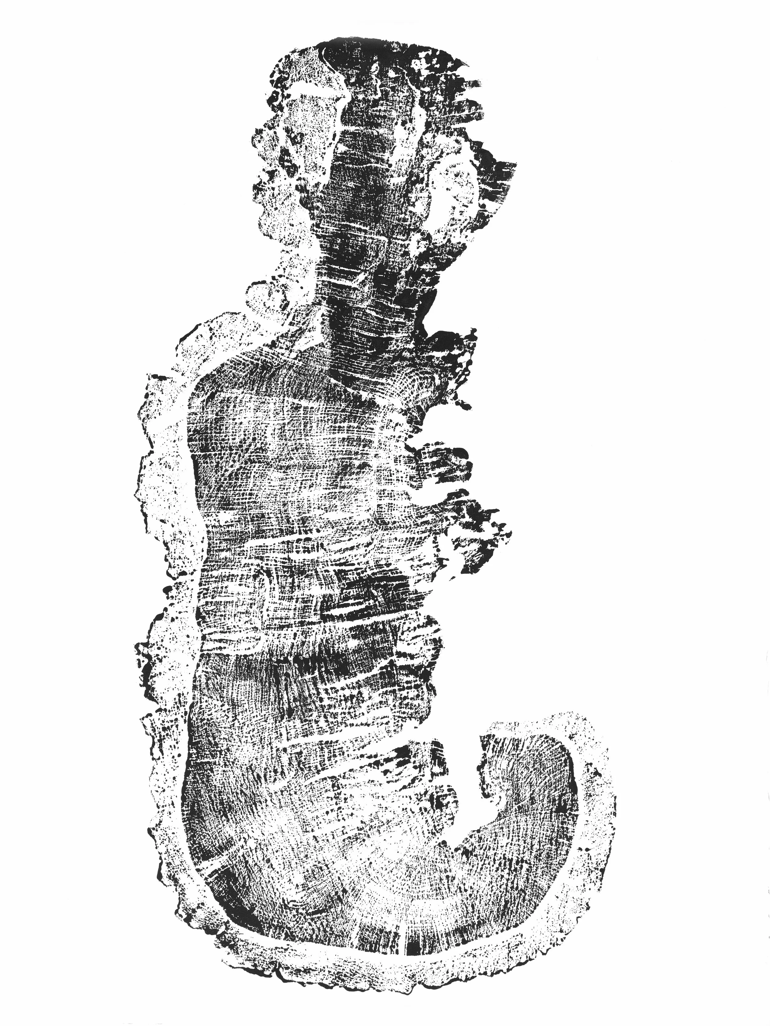 Oak_larva.jpg
