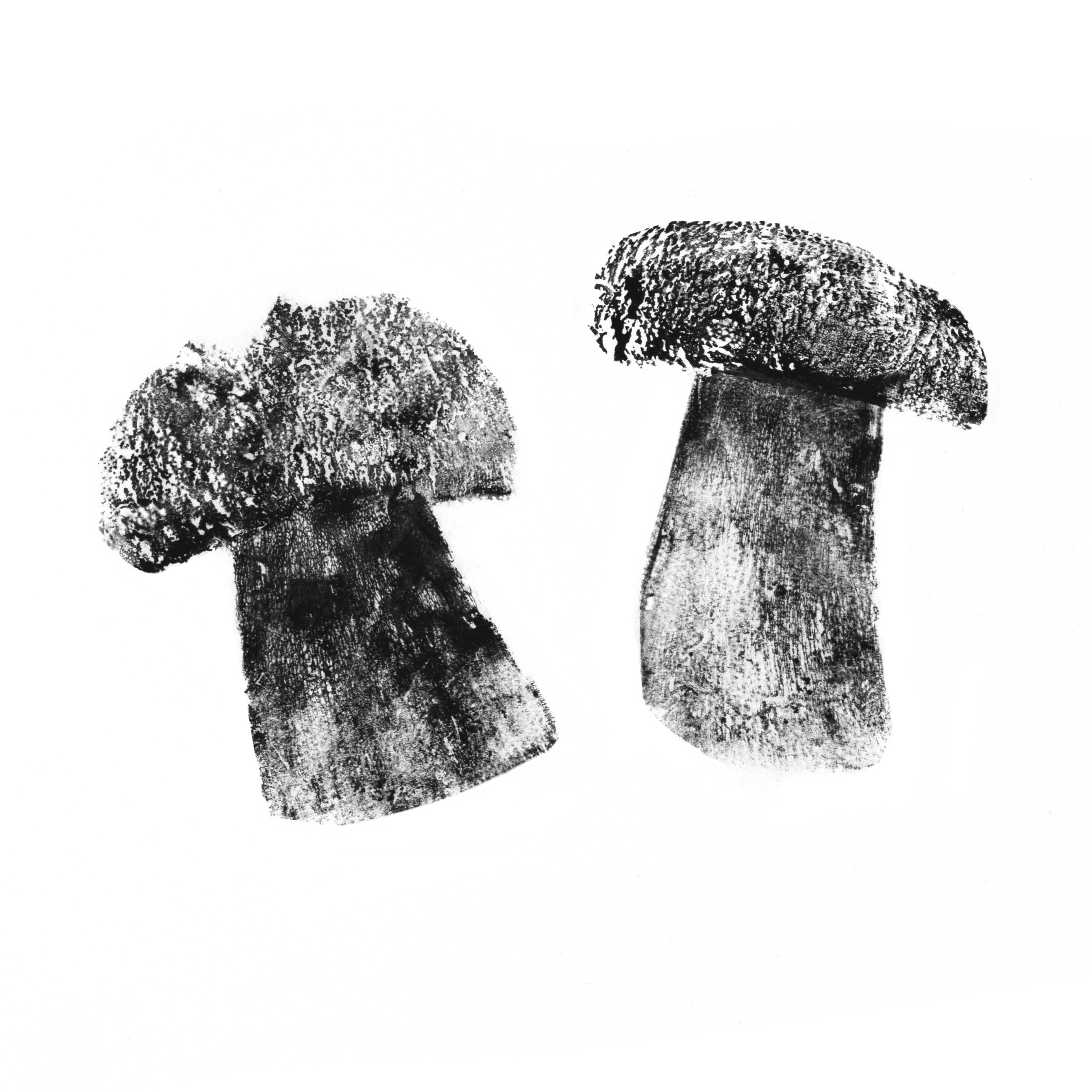 Porcini 2
