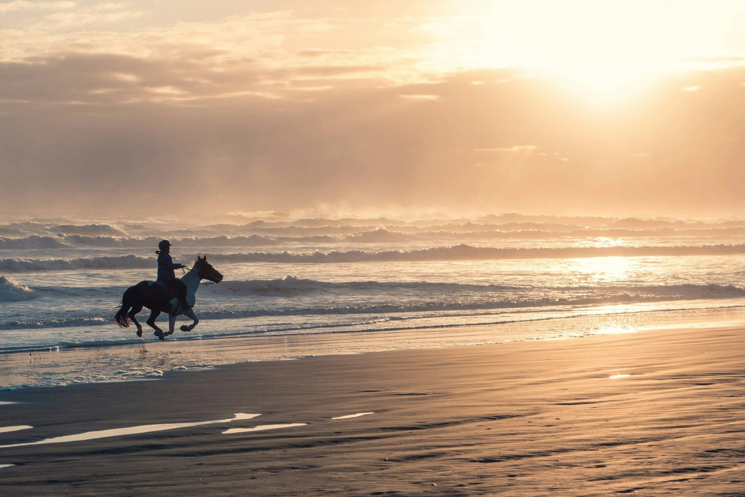 Person riding a horse by the beach at Sunset