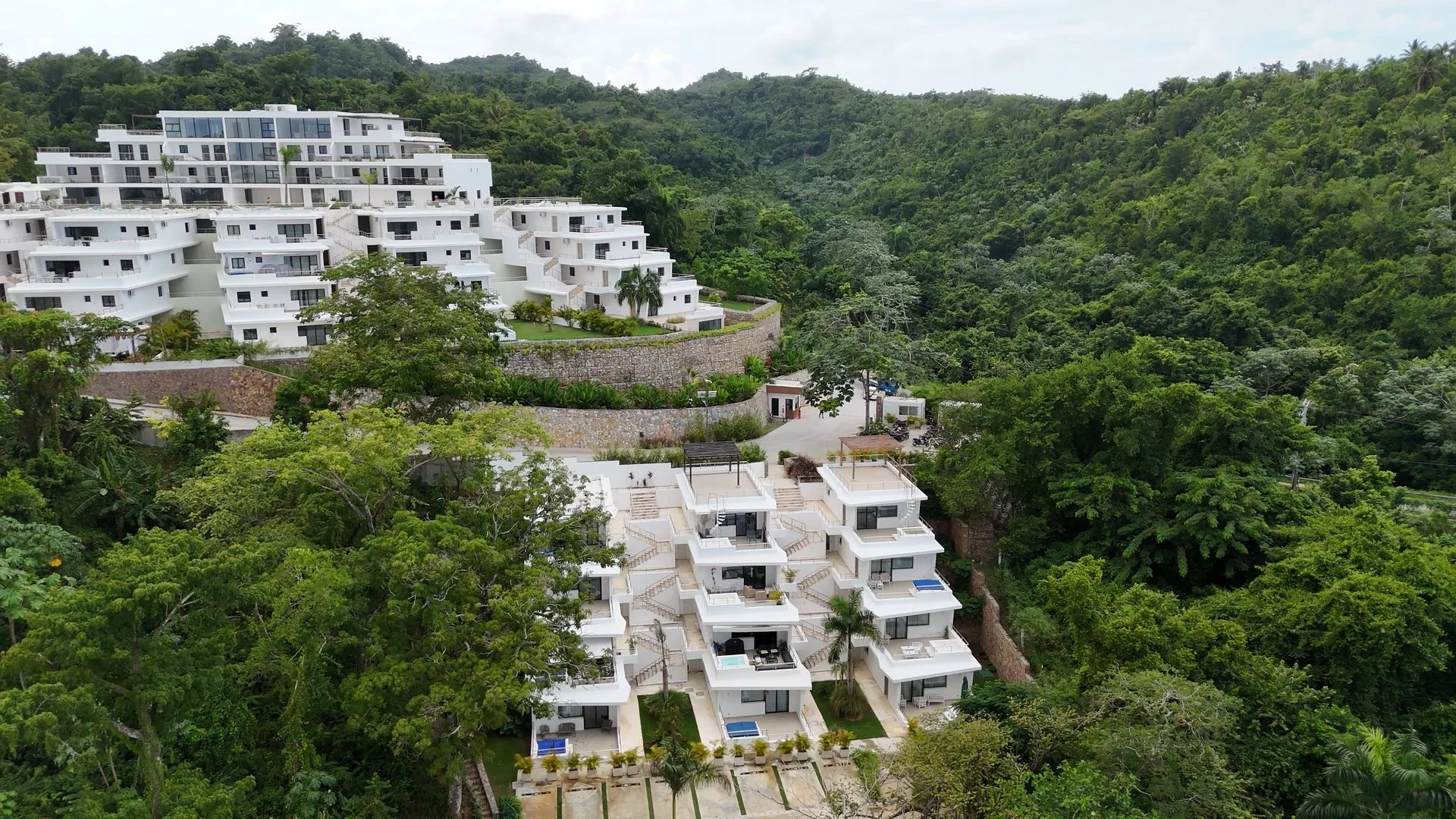 Still 2025-02-10 125137_1.4.2.jpg